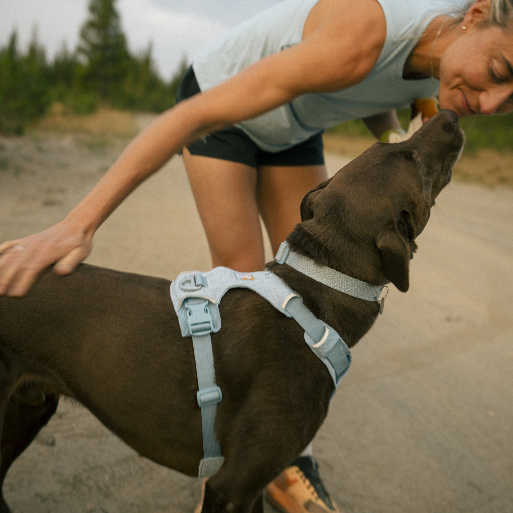 Ruffwear Front Range Flex Collar – Reflektierendes Hundehalsband mit innovativer Stricktechnologie für maximalen Komfort bei Abenteuern - Woofshack