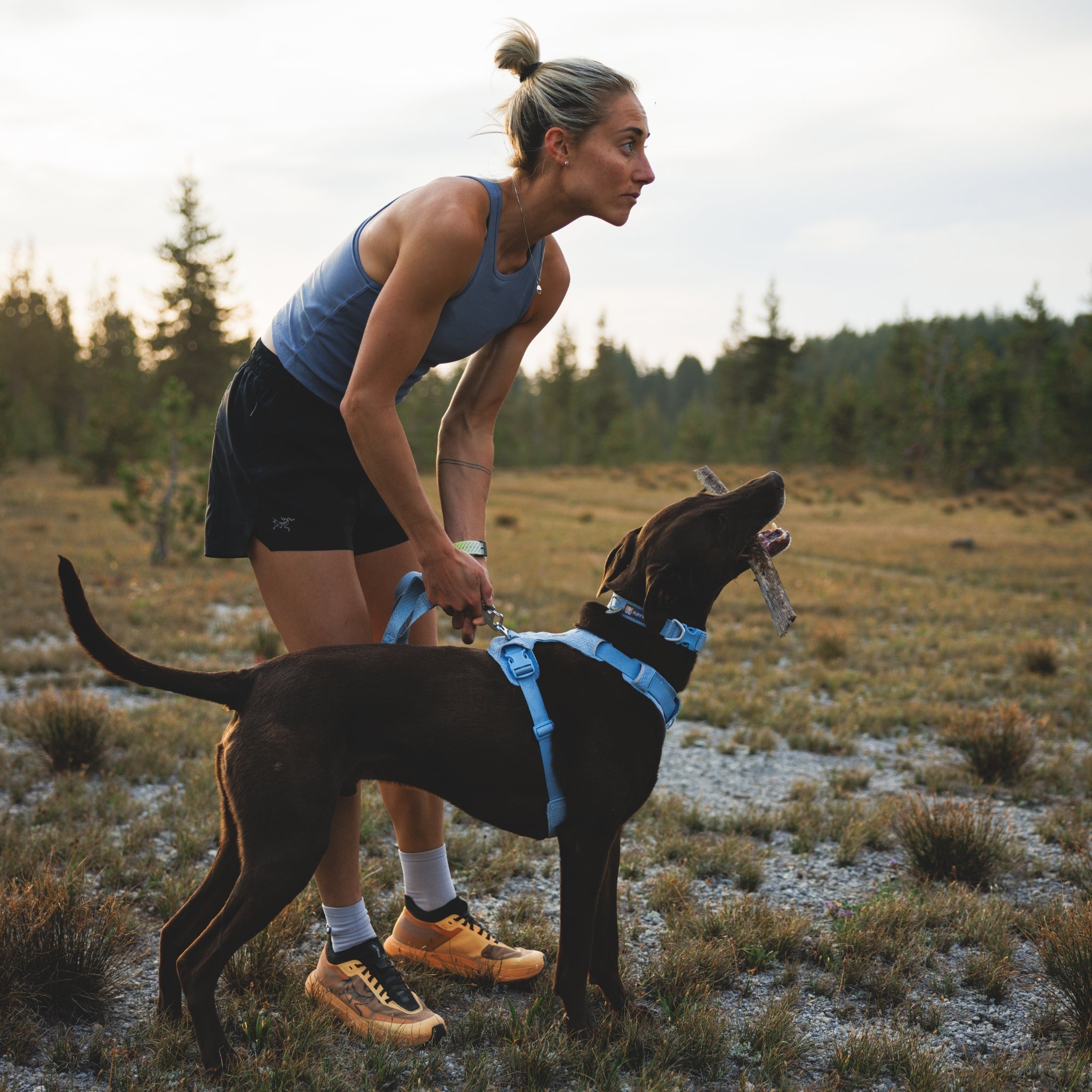 Ruffwear Front Range Flex Collar – Reflektierendes Hundehalsband mit innovativer Stricktechnologie für maximalen Komfort bei Abenteuern - Woofshack