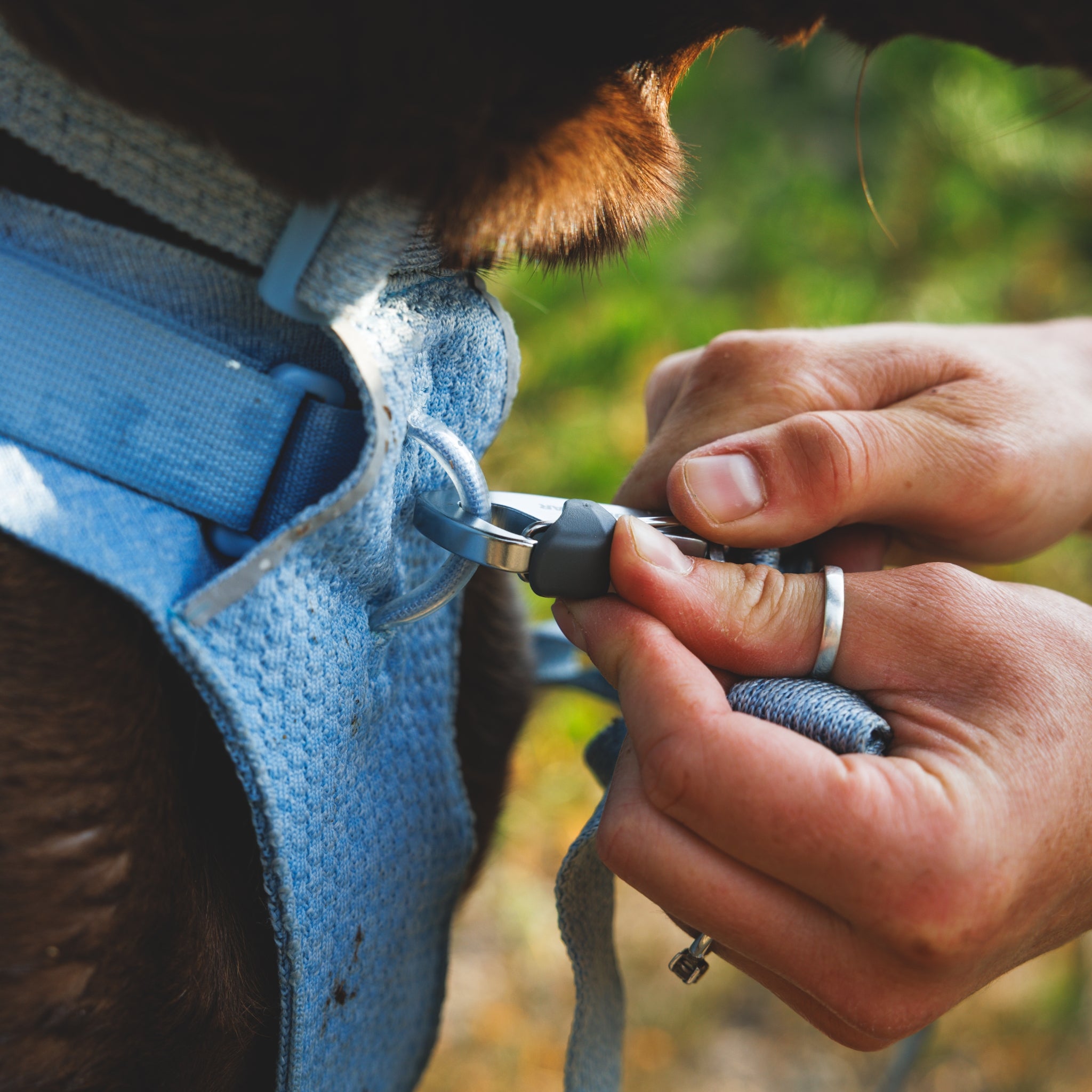 Ruffwear Front Range Flex Harness – Atmungsaktives Hundegeschirr in Stricktechnologie mit Y-Schnitt für maximale Bewegungsfreiheit und Komfort