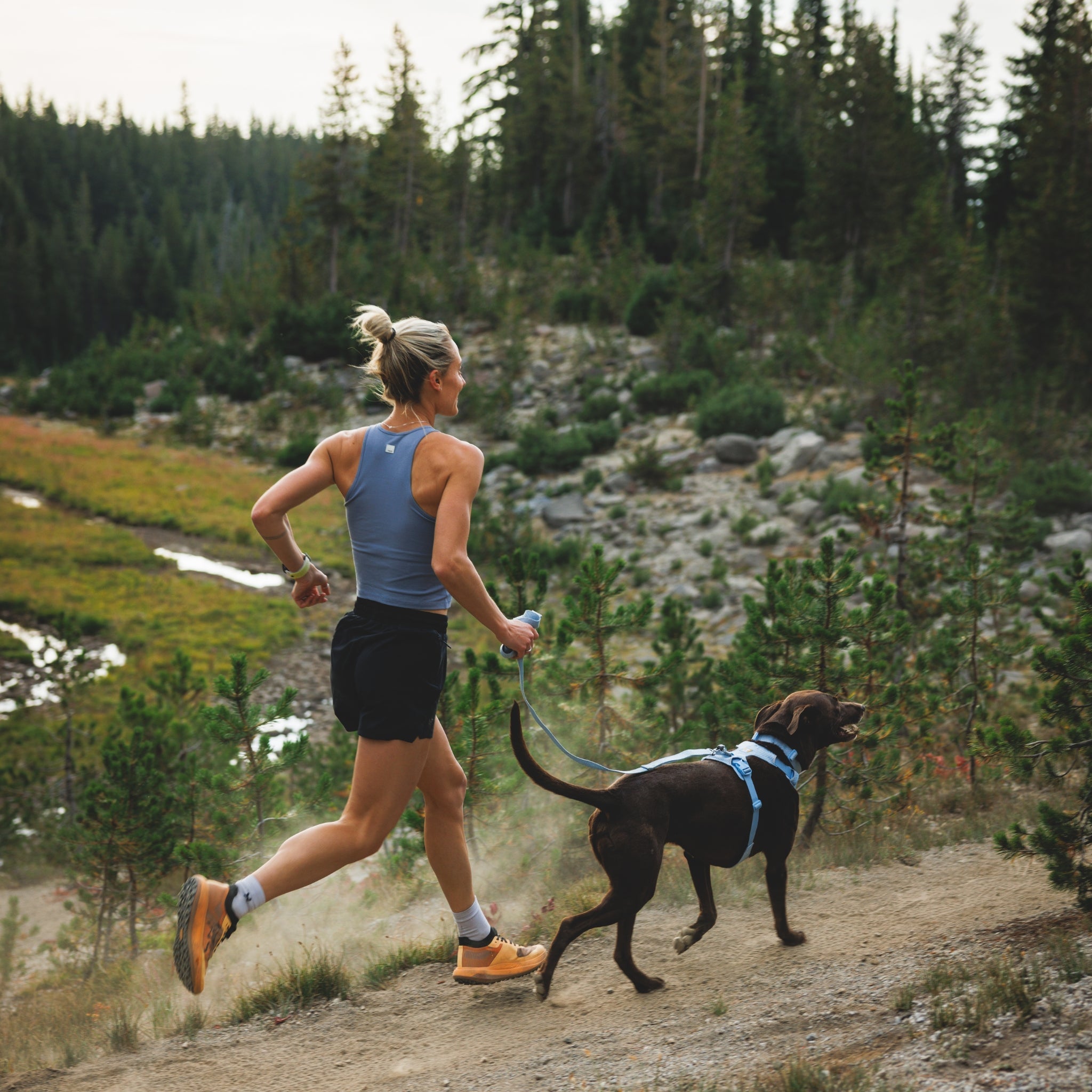 Ruffwear Front Range Flex Harness – Atmungsaktives Hundegeschirr in Stricktechnologie mit Y - Schnitt für maximale Bewegungsfreiheit und Komfort - Woofshack