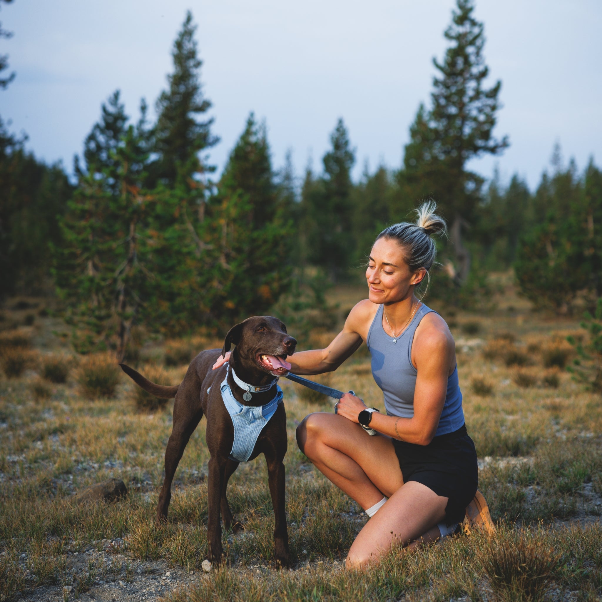Ruffwear Front Range Flex Harness – Atmungsaktives Hundegeschirr in Stricktechnologie mit Y - Schnitt für maximale Bewegungsfreiheit und Komfort - Woofshack
