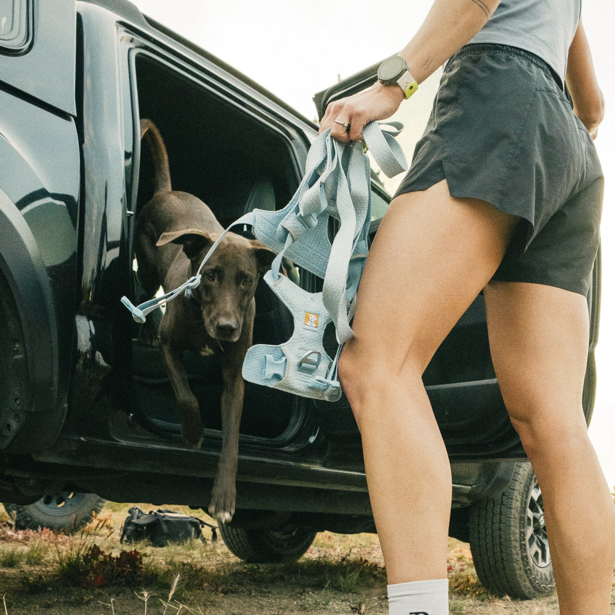 Ruffwear Front Range Flex Harness – Atmungsaktives Hundegeschirr in Stricktechnologie mit Y - Schnitt für maximale Bewegungsfreiheit und Komfort - Woofshack