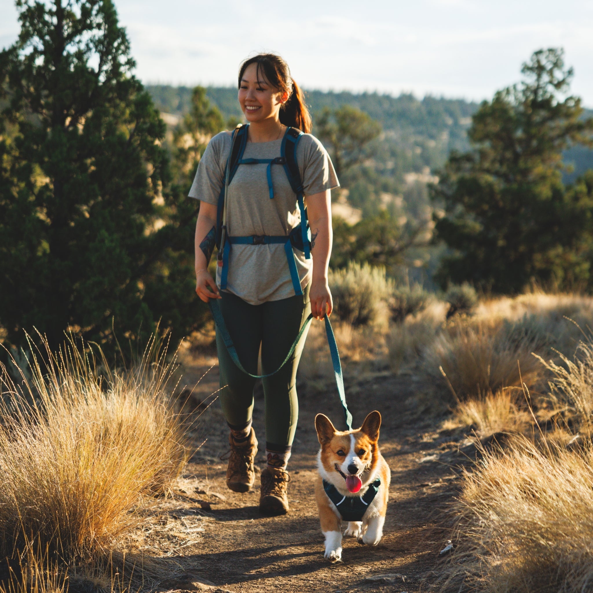 Ruffwear Front Range Flex Harness – Atmungsaktives Hundegeschirr in Stricktechnologie mit Y - Schnitt für maximale Bewegungsfreiheit und Komfort - Woofshack