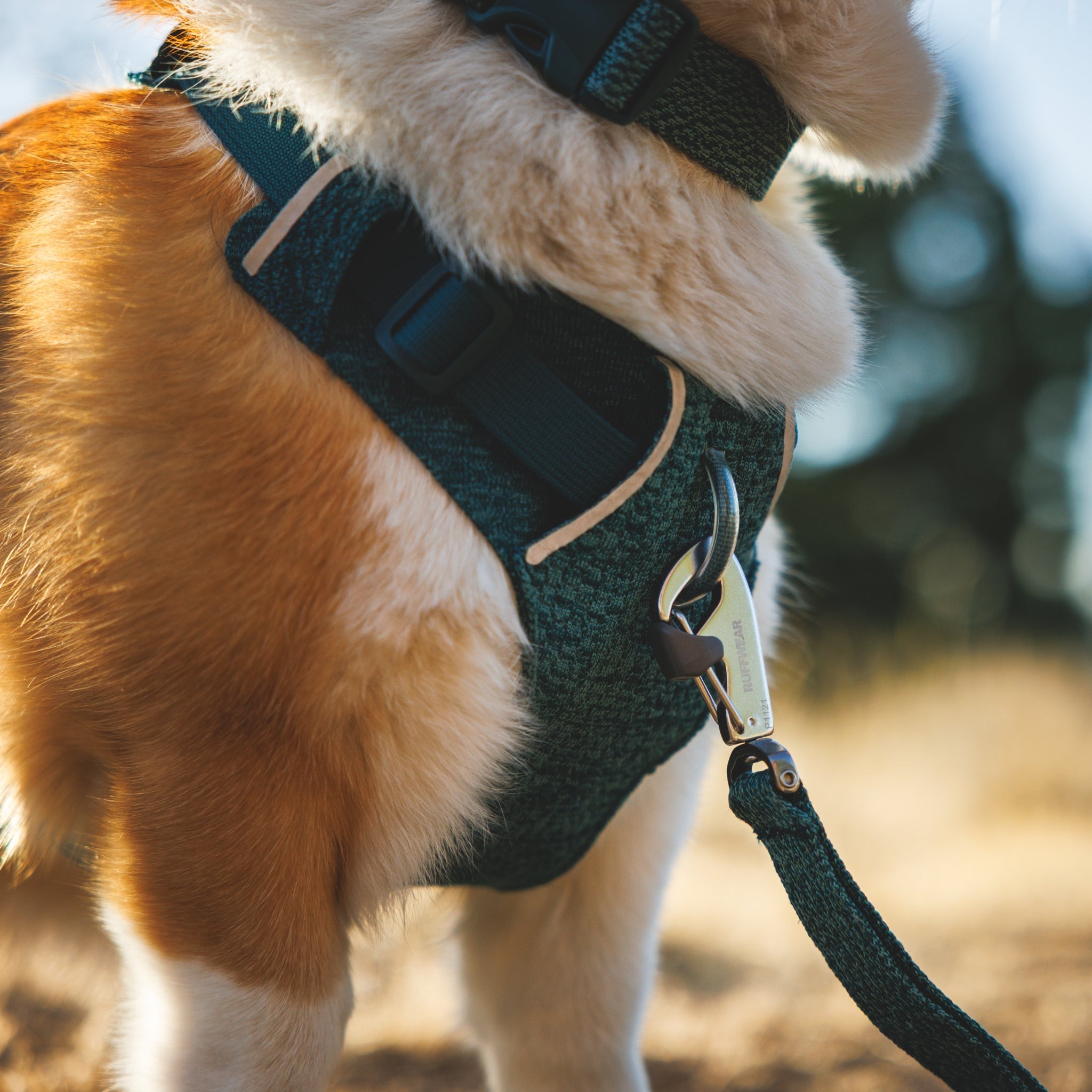 Ruffwear Front Range Flex Harness – Atmungsaktives Hundegeschirr in Stricktechnologie mit Y - Schnitt für maximale Bewegungsfreiheit und Komfort - Woofshack