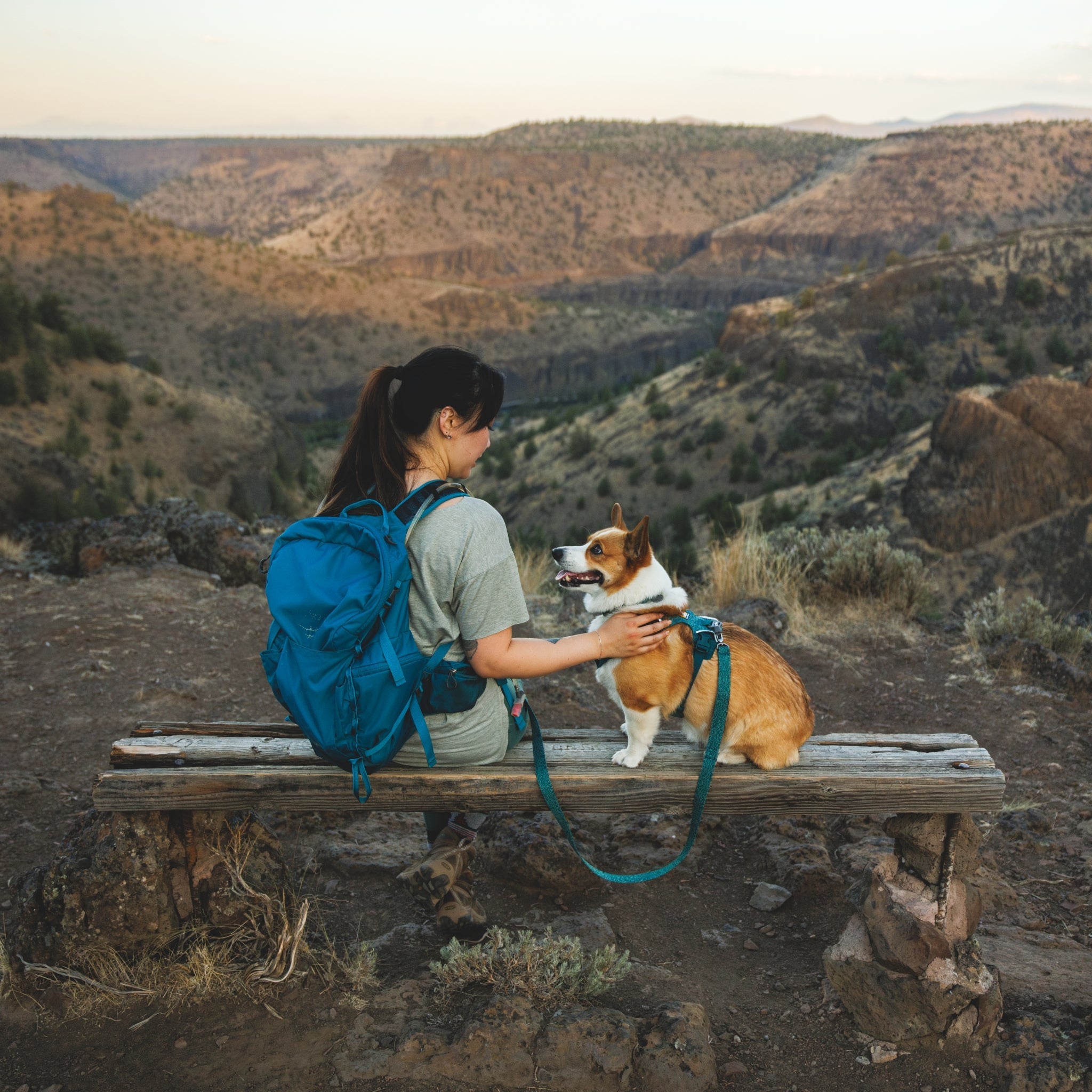 Ruffwear Front Range Flex Harness – Atmungsaktives Hundegeschirr in Stricktechnologie mit Y - Schnitt für maximale Bewegungsfreiheit und Komfort - Woofshack