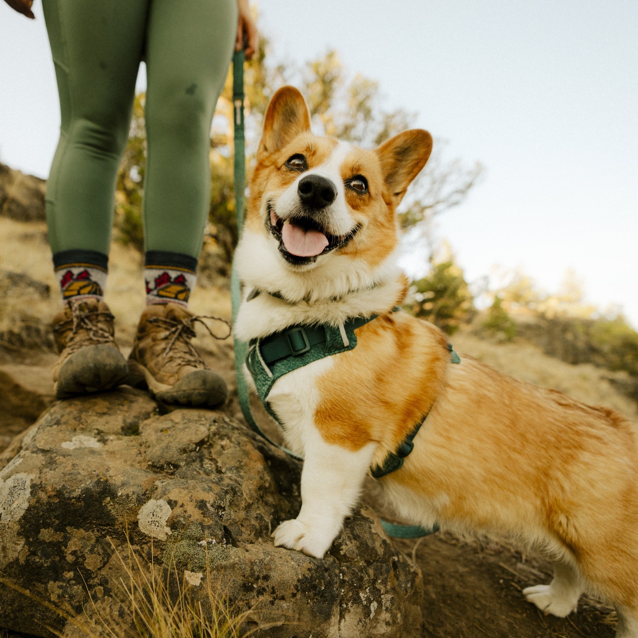 Ruffwear Front Range Flex Leash – Reflektierende Premium - Hundeleine mit weichem Griff für maximale Kontrolle und Komfort bei jedem Abenteuer - Woofshack