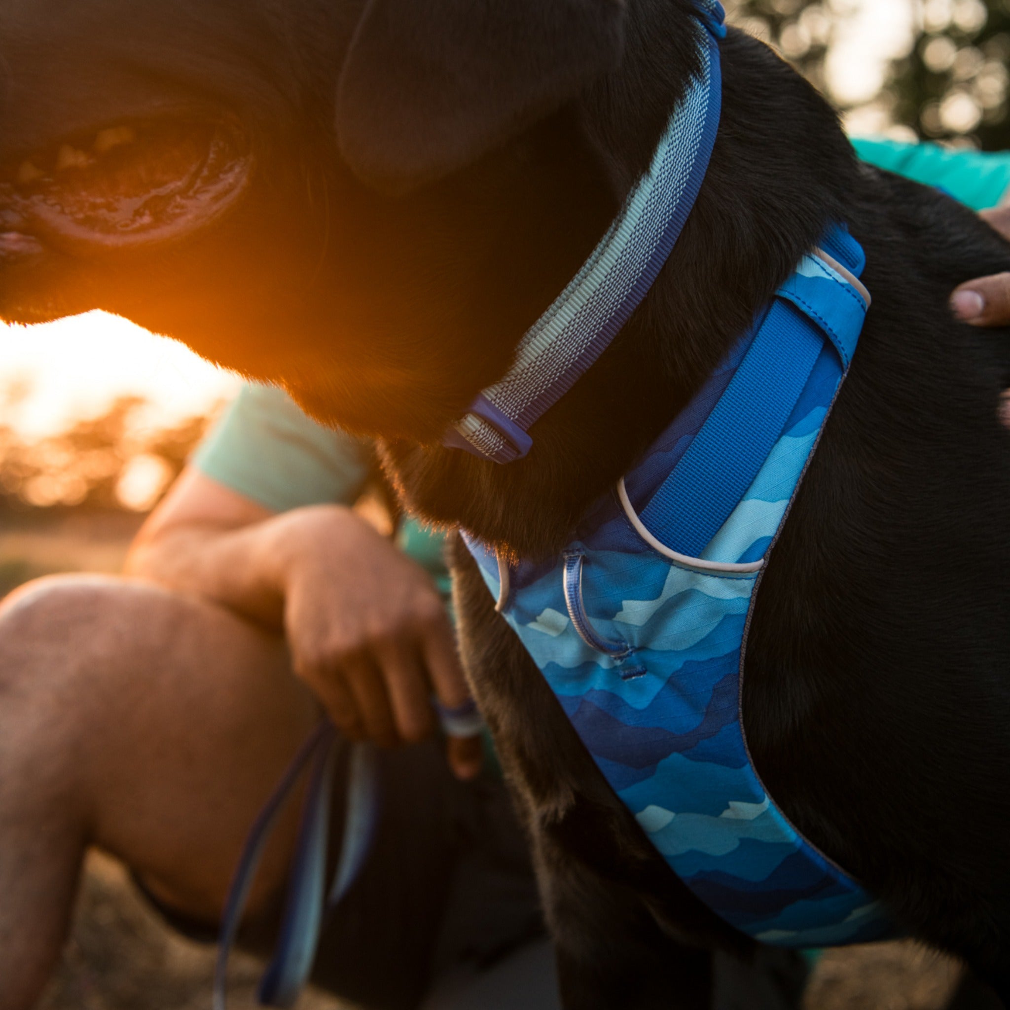 Ruffwear Front Range Harness – Premium Hundegeschirr mit Brustring gegen Ziehen, gepolstert für maximalen Komfort bei Spaziergängen & Outdoor-Abenteuern