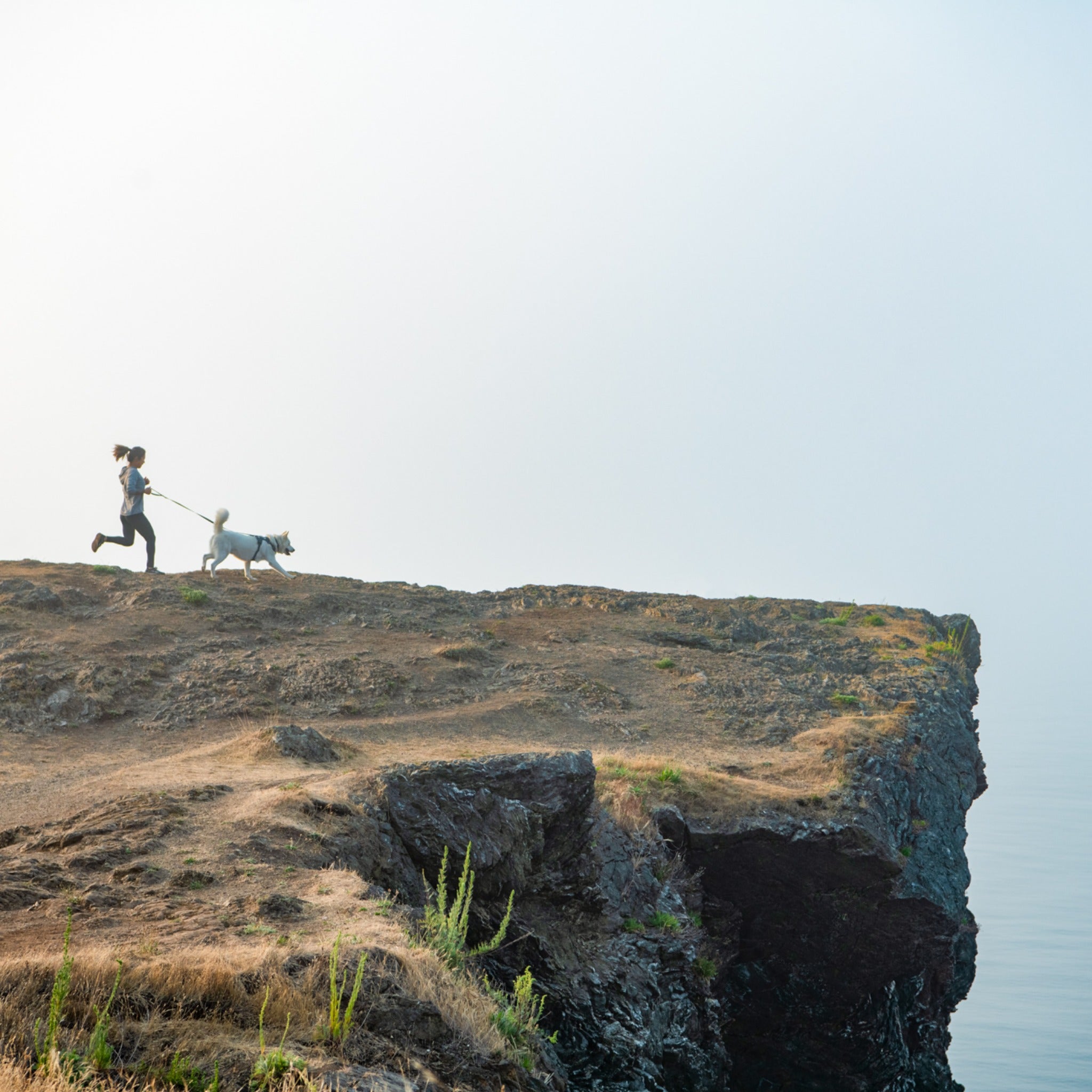 Ruffwear Front Range Harness, Hundegeschirr