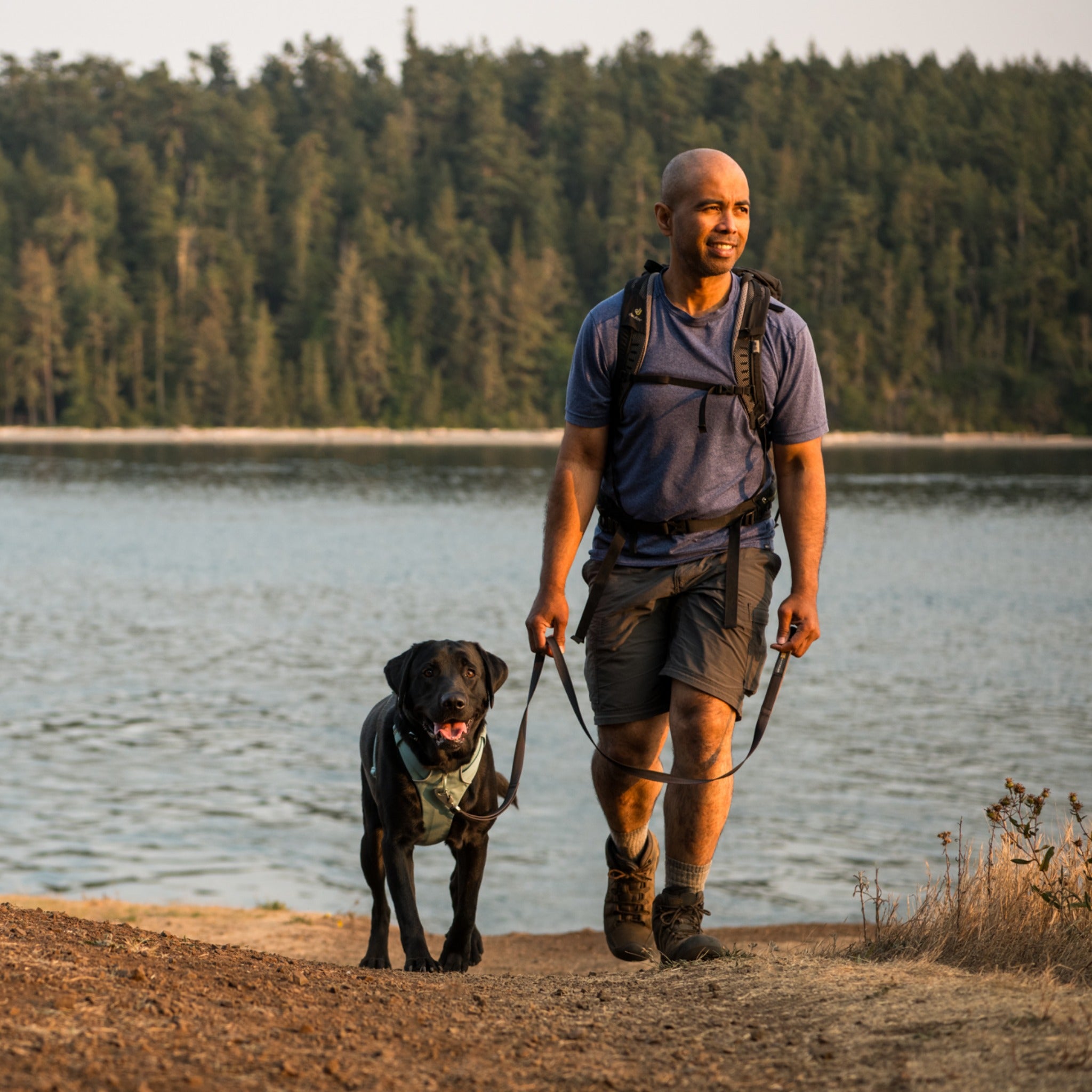 Ruffwear Front Range Harness – Premium Hundegeschirr mit Brustring gegen Ziehen, gepolstert für maximalen Komfort bei Spaziergängen & Outdoor-Abenteuern