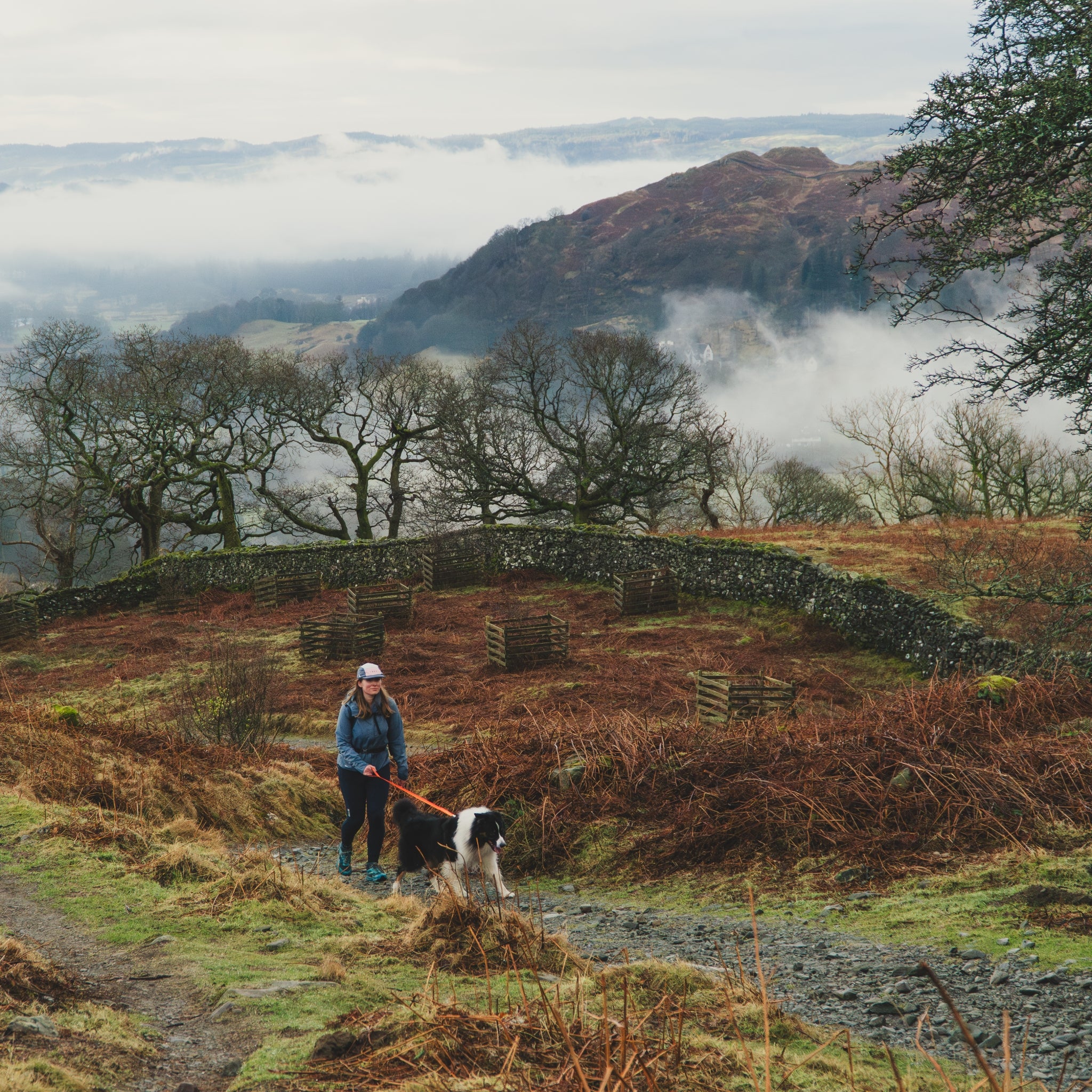 Ruffwear Front Range Leash - Hundeleine mit gepolstertem Griff
