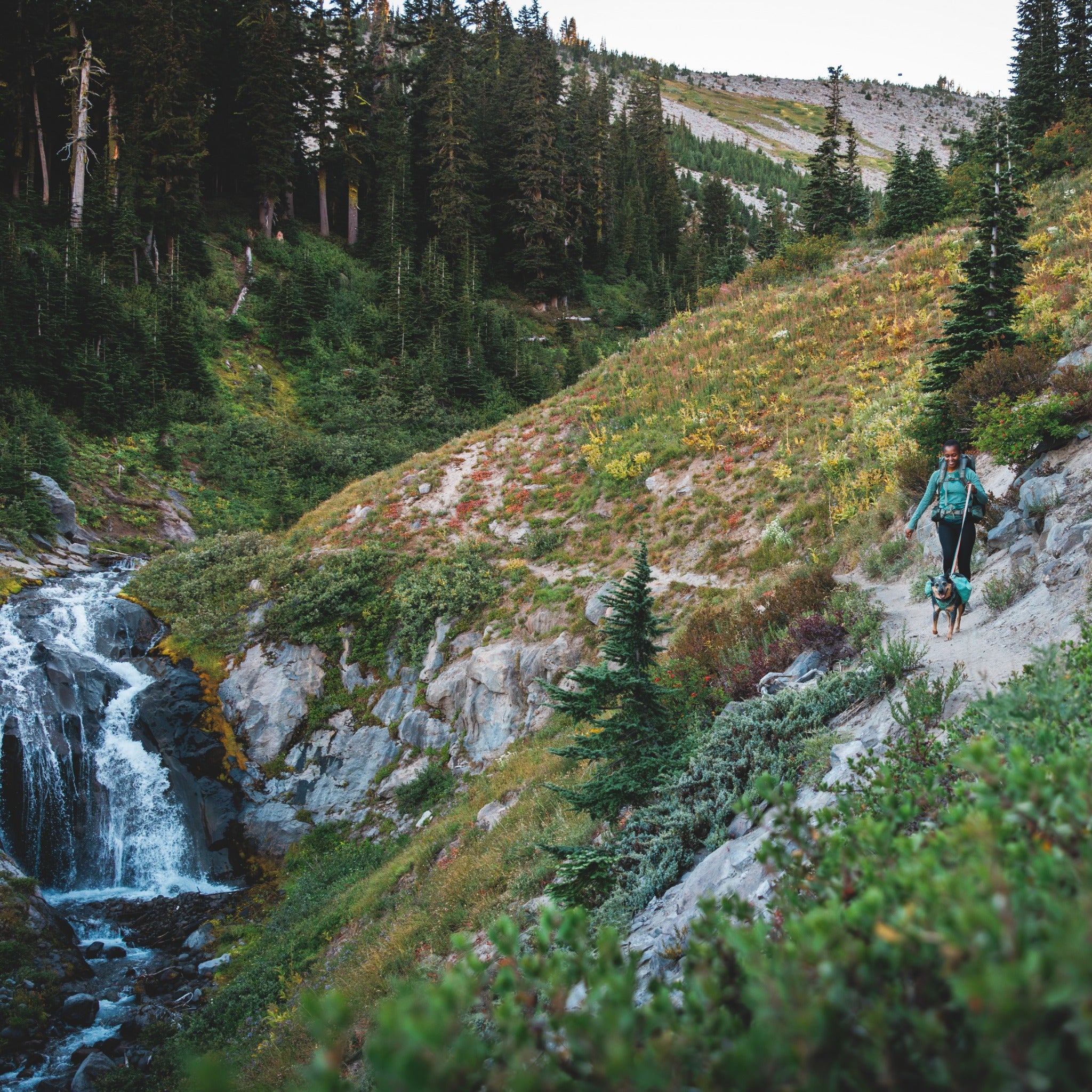 Ruffwear Front Range Leash - Premium Hundeleine mit gepolstertem Griff