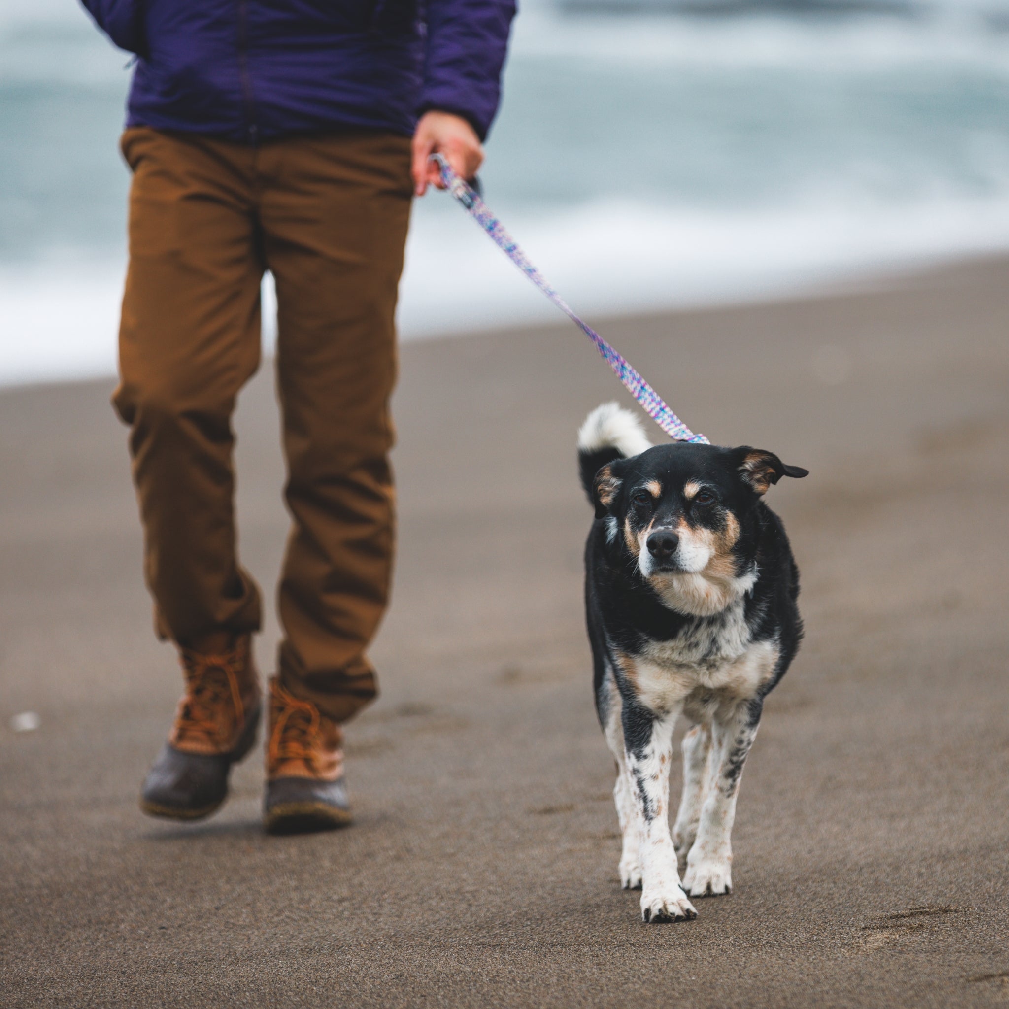 Ruffwear Front Range Leash - Premium Hundeleine mit gepolstertem Griff - Woofshack