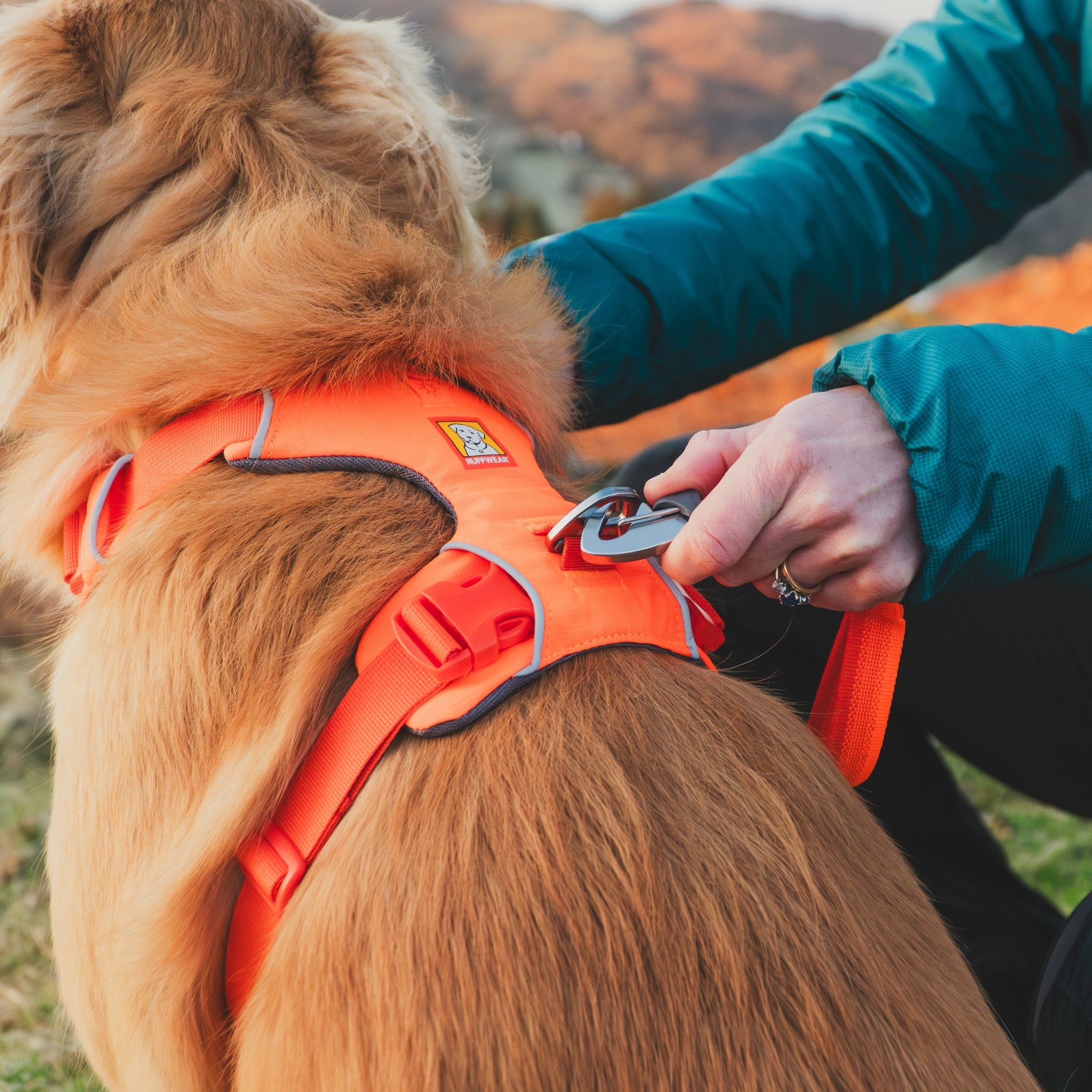 Ruffwear Front Range Leash - Premium Hundeleine mit gepolstertem Griff - Woofshack