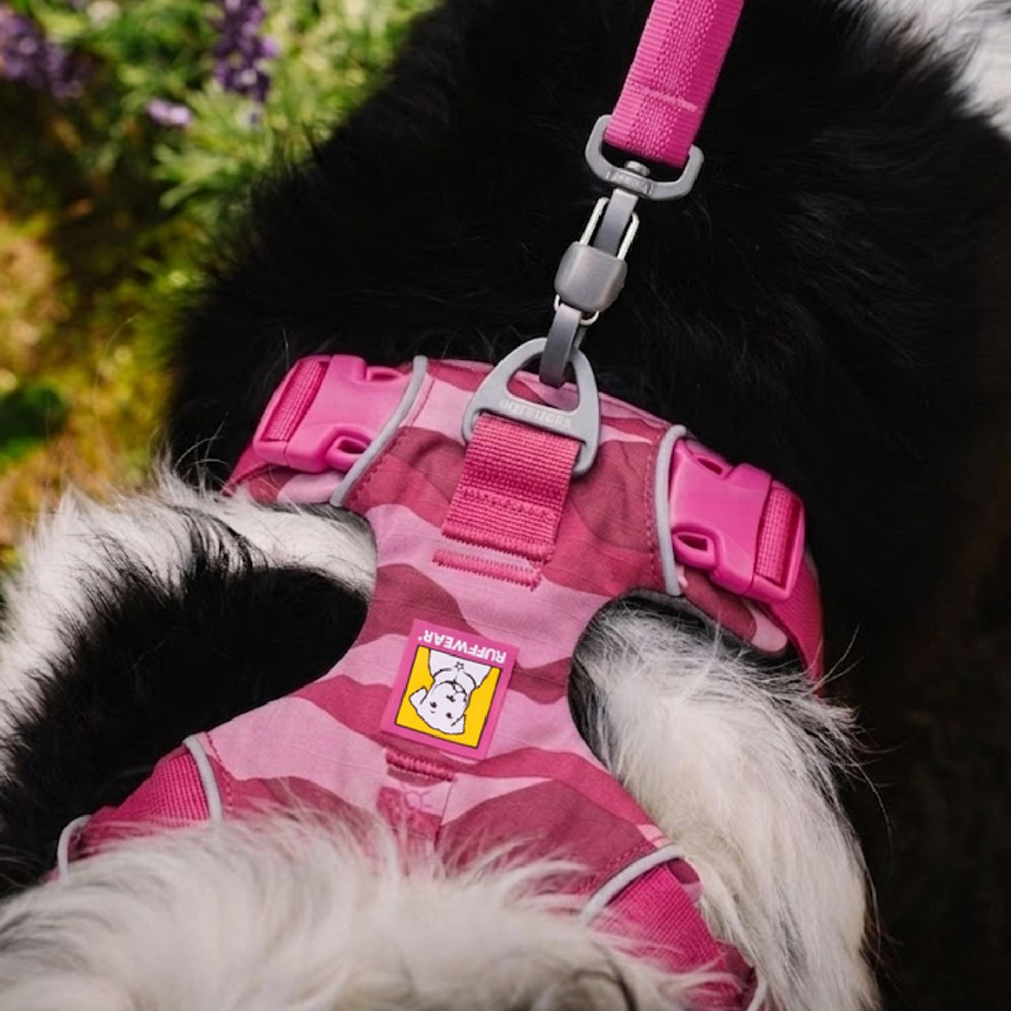 Ruffwear Front Range Leash - Premium Hundeleine mit gepolstertem Griff für maximale Kontrolle und Komfort bei jedem Abenteuer - Woofshack