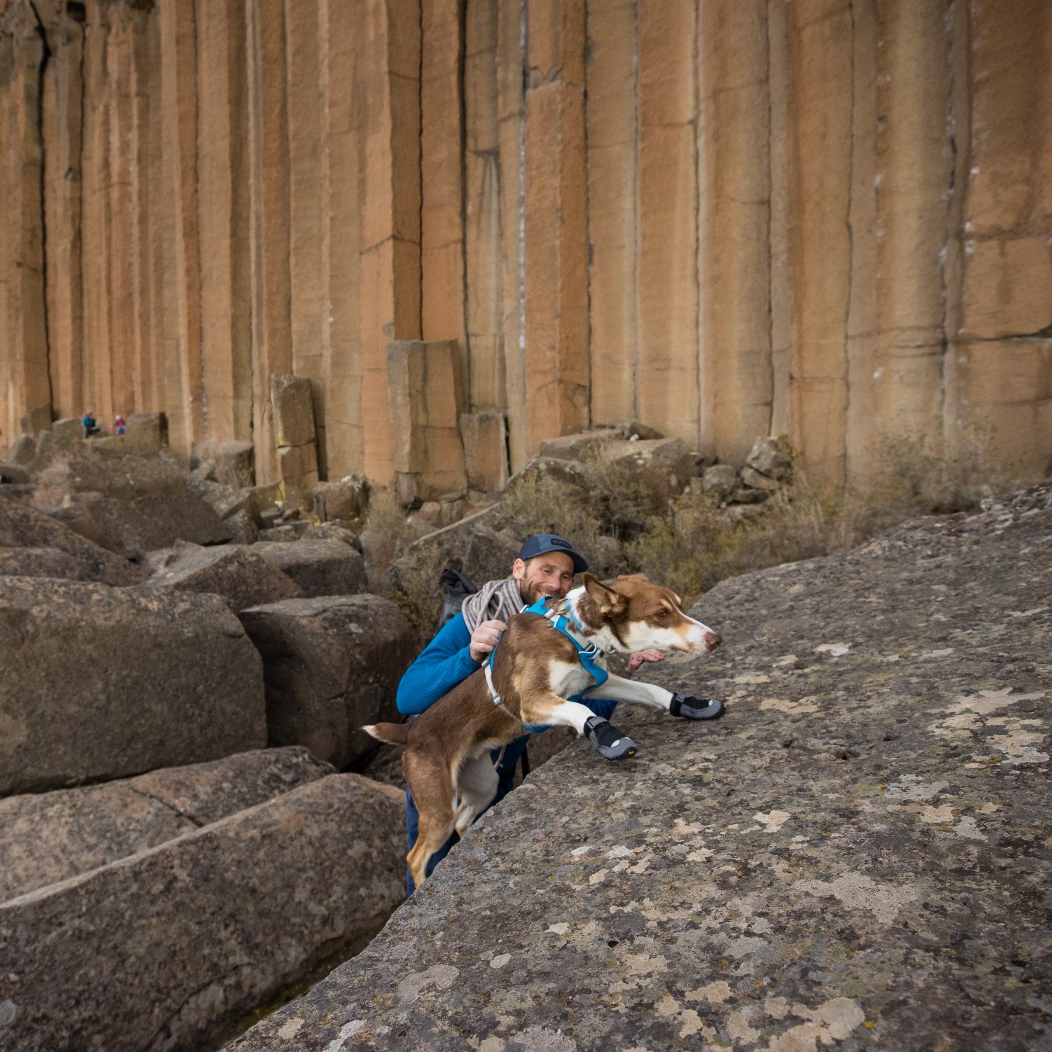 Ruffwear Grip Trex Hundeschuhe – Professioneller Pfotenschutz für Abenteuer, Arbeitshunde & Diensthunde in jedem Gelände - Woofshack