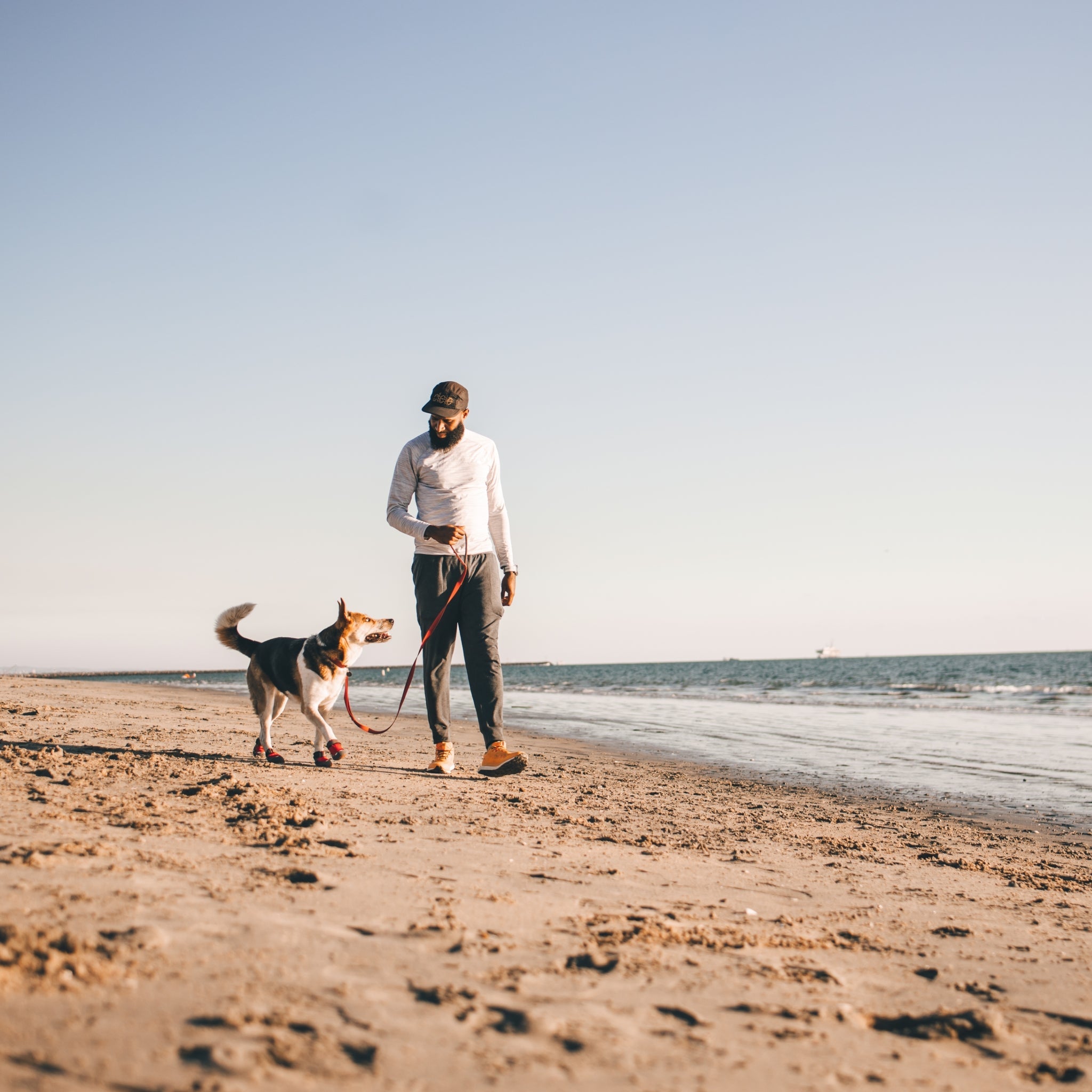 Ruffwear Grip Trex Hundeschuhe – Professioneller Pfotenschutz für Abenteuer, Arbeitshunde & Diensthunde in jedem Gelände - Woofshack