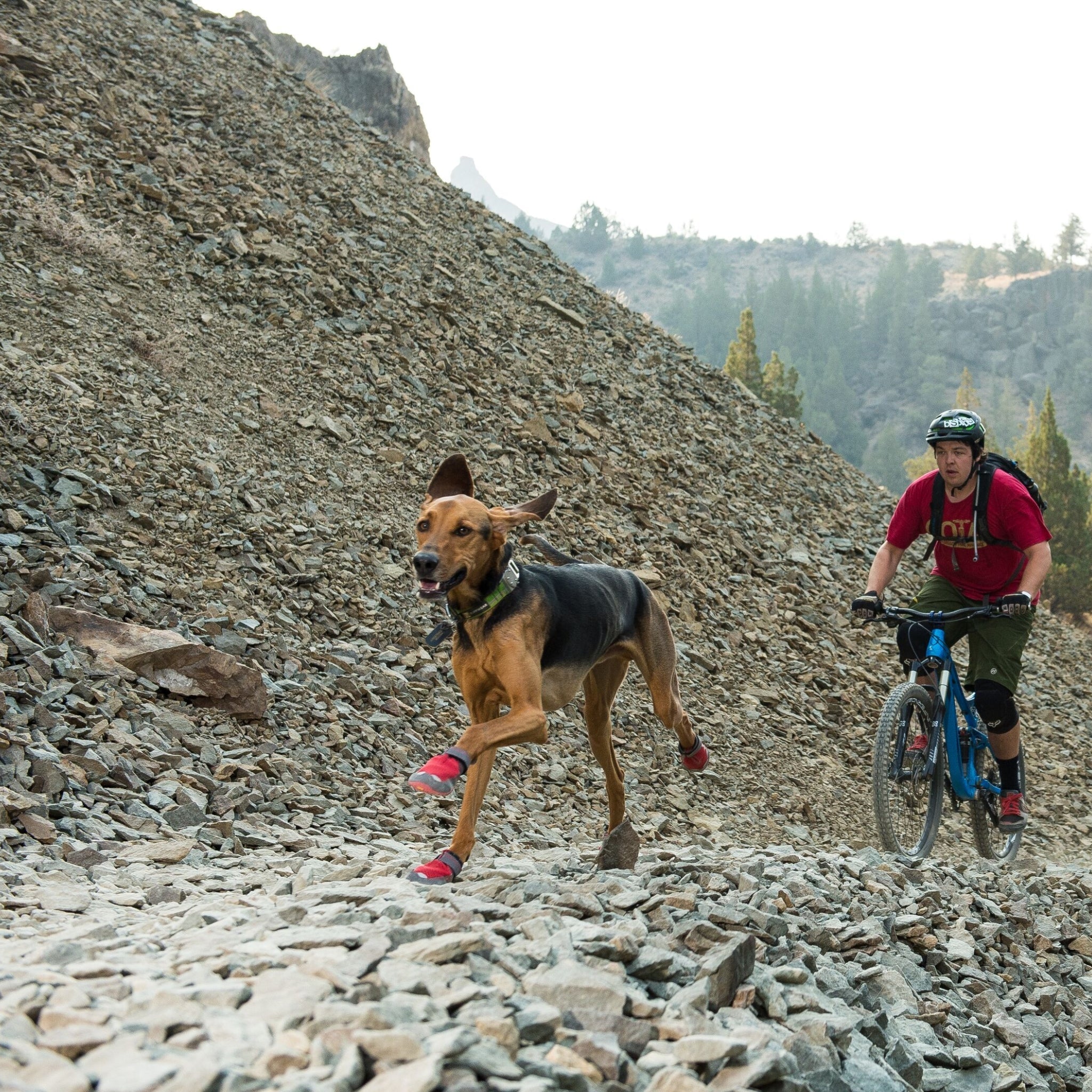 Ruffwear Grip Trex Hundeschuhe – Professioneller Pfotenschutz für Abenteuer, Arbeitshunde & Diensthunde in jedem Gelände - Woofshack