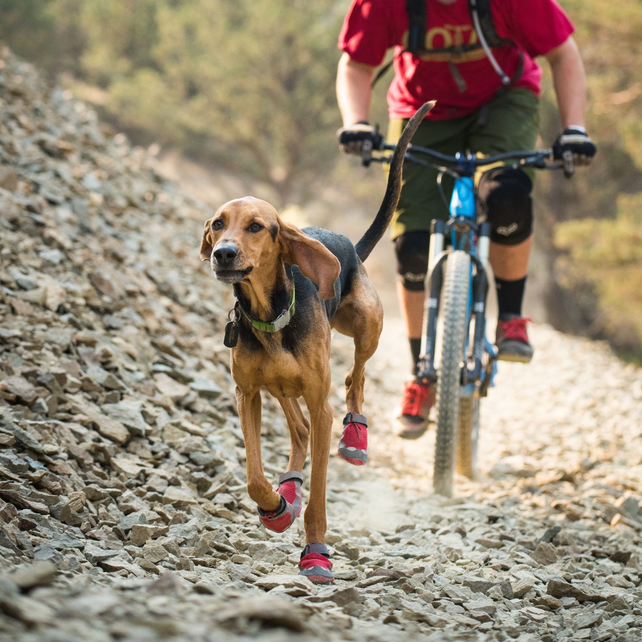 Ruffwear Grip Trex Hundeschuhe – Professioneller Pfotenschutz für Abenteuer, Arbeitshunde & Diensthunde in jedem Gelände - Woofshack