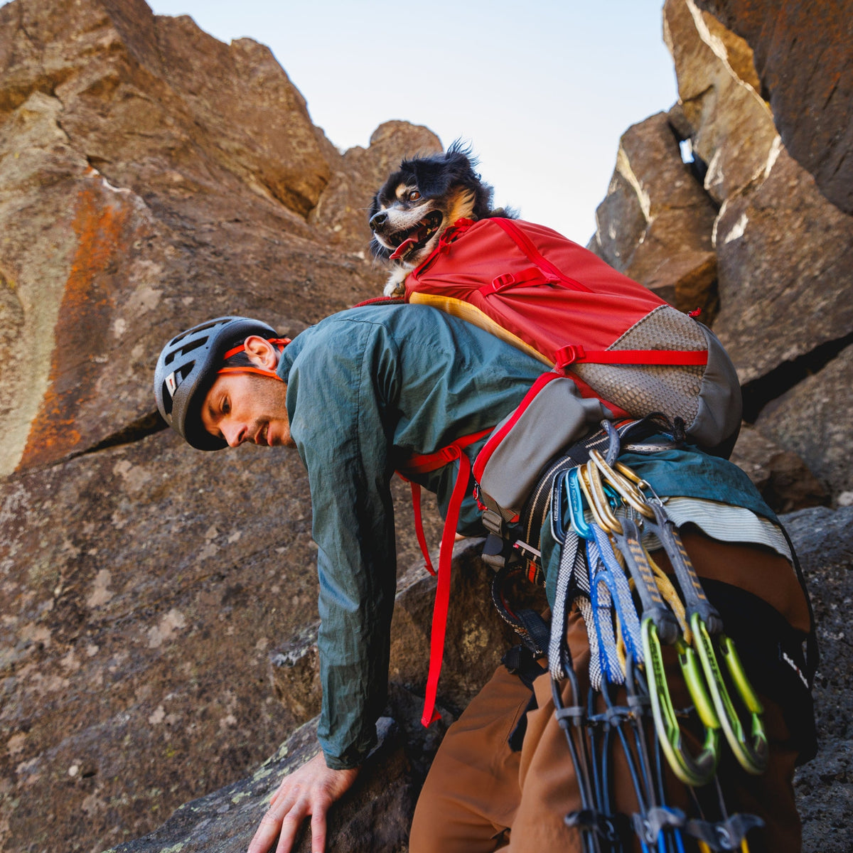 Ruffwear Hitch Hiker Dog Backpack Carrier – Komfortable Hunderucksack - Tragetasche für Abenteuer & sichere Transporte - Woofshack