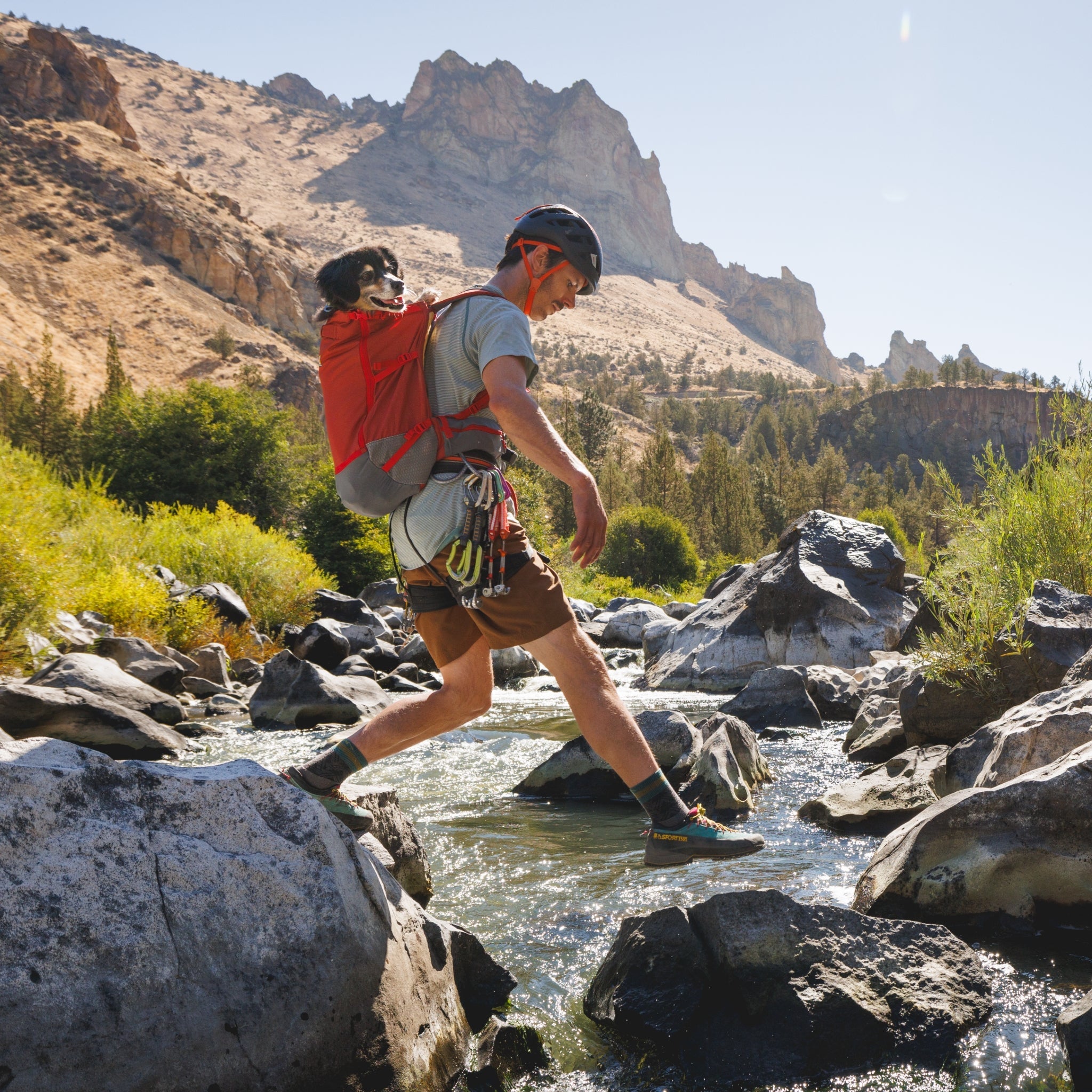 Ruffwear Hitch Hiker Dog Backpack Carrier – Komfortable Hunderucksack - Tragetasche für Abenteuer & sichere Transporte - Woofshack