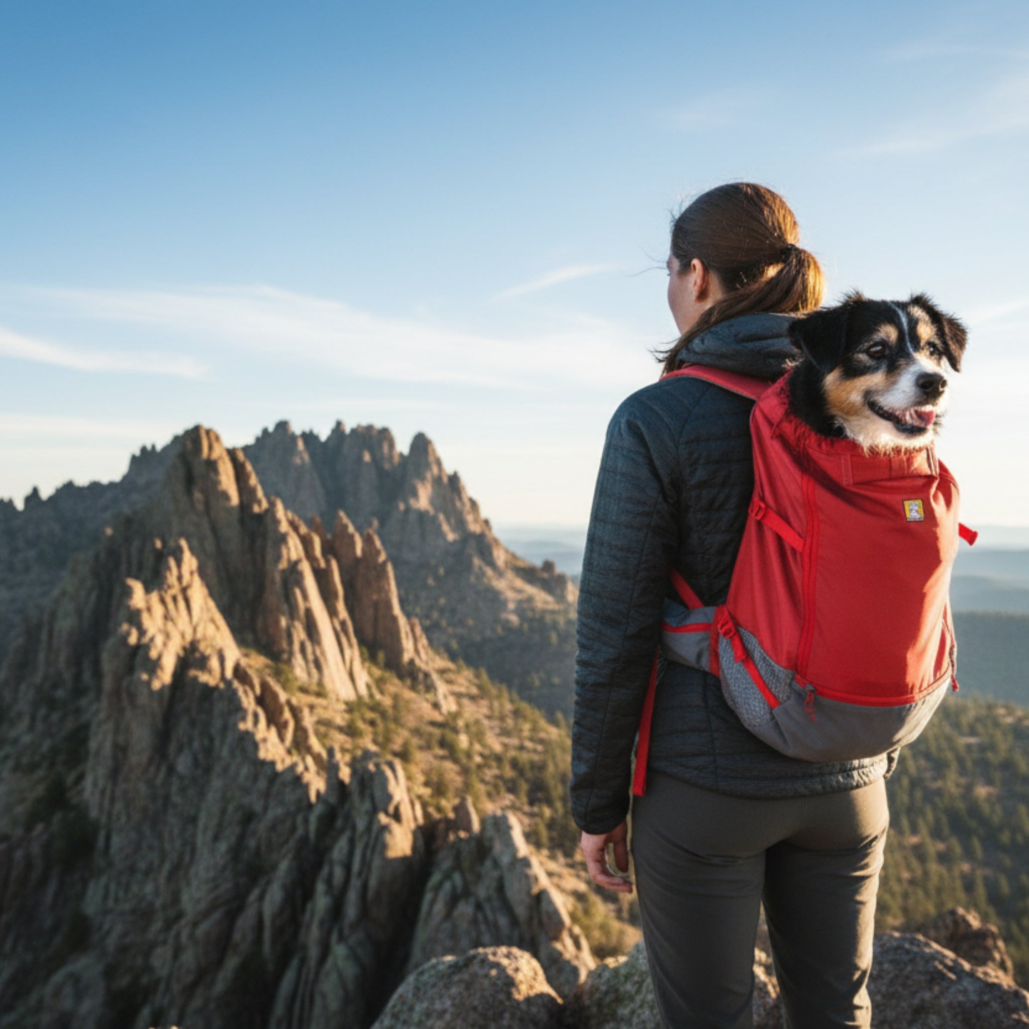 Ruffwear Hitch Hiker Dog Backpack Carrier – Komfortable Hunderucksack - Tragetasche für Abenteuer & sichere Transporte - Woofshack