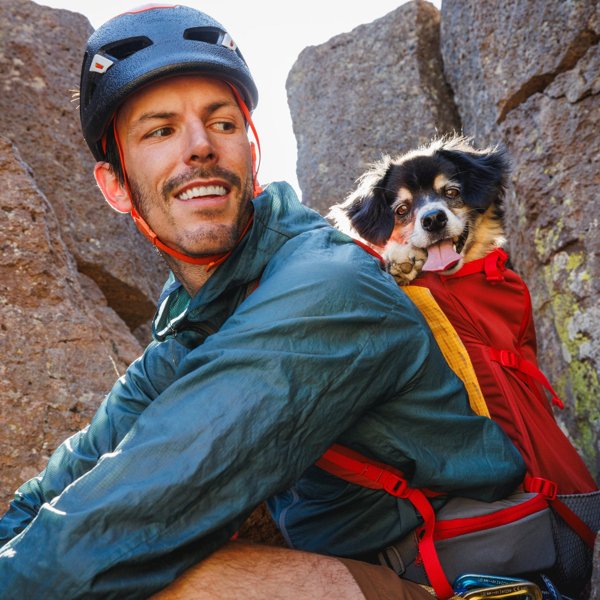 Ruffwear Hitch Hiker Dog Backpack Carrier – Komfortable Hunderucksack - Tragetasche für Abenteuer & sichere Transporte - Woofshack