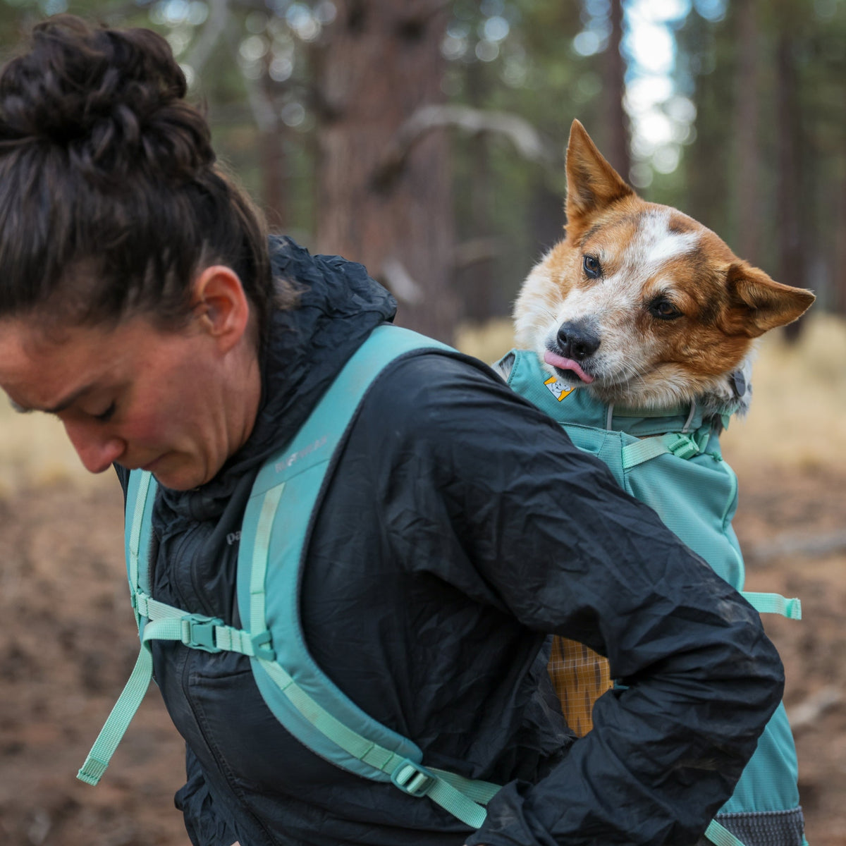 Ruffwear Hitch Hiker Dog Backpack Carrier – Komfortable Hunderucksack - Tragetasche für Abenteuer & sichere Transporte - Woofshack