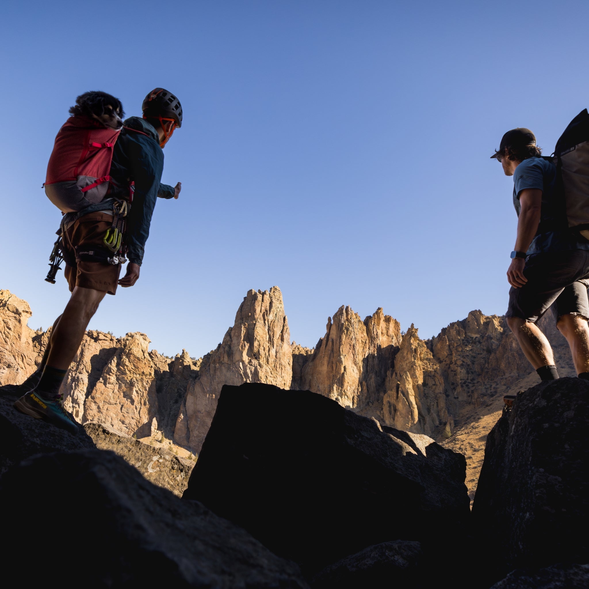 Ruffwear Hitch Hiker Dog Backpack Carrier – Komfortable Hunderucksack - Tragetasche für Abenteuer & sichere Transporte - Woofshack