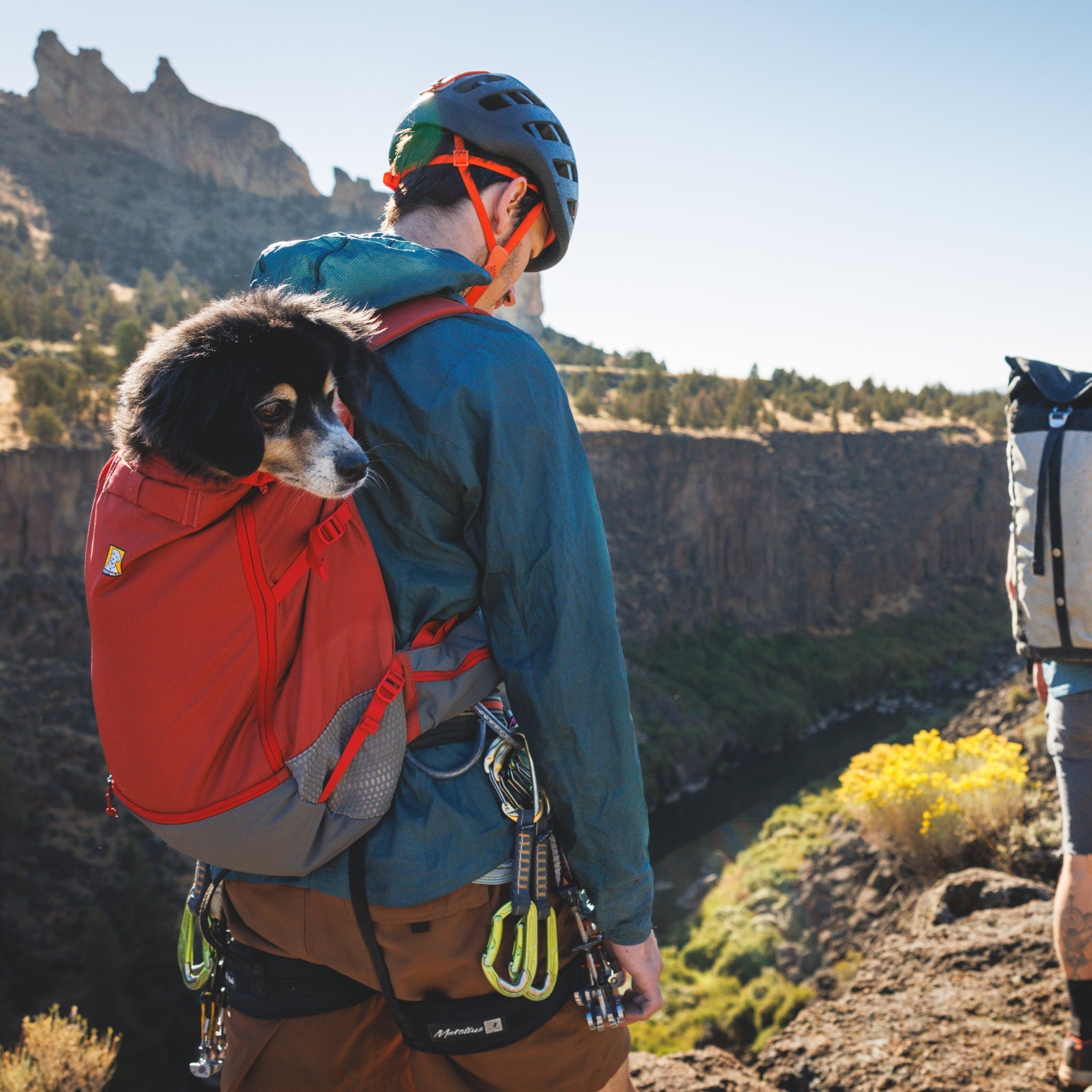 Ruffwear Hitch Hiker Dog Backpack Carrier – Komfortable Hunderucksack - Tragetasche für Abenteuer & sichere Transporte - Woofshack