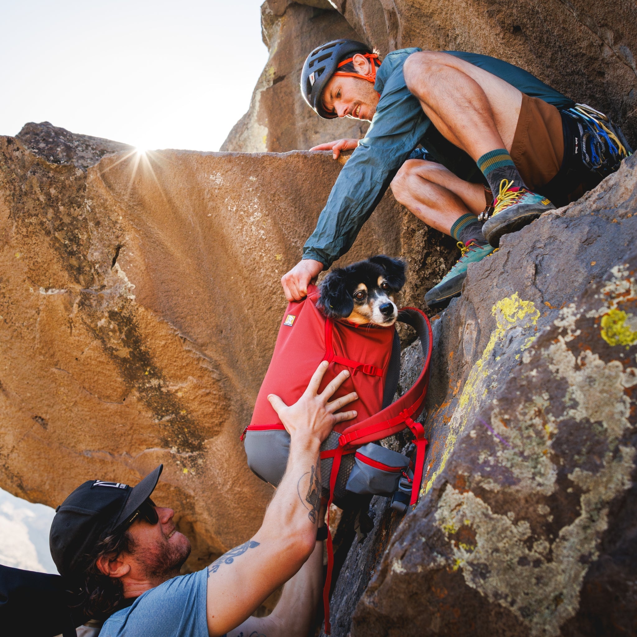 Ruffwear Hitch Hiker Dog Backpack Carrier – Komfortable Hunderucksack - Tragetasche für Abenteuer & sichere Transporte - Woofshack