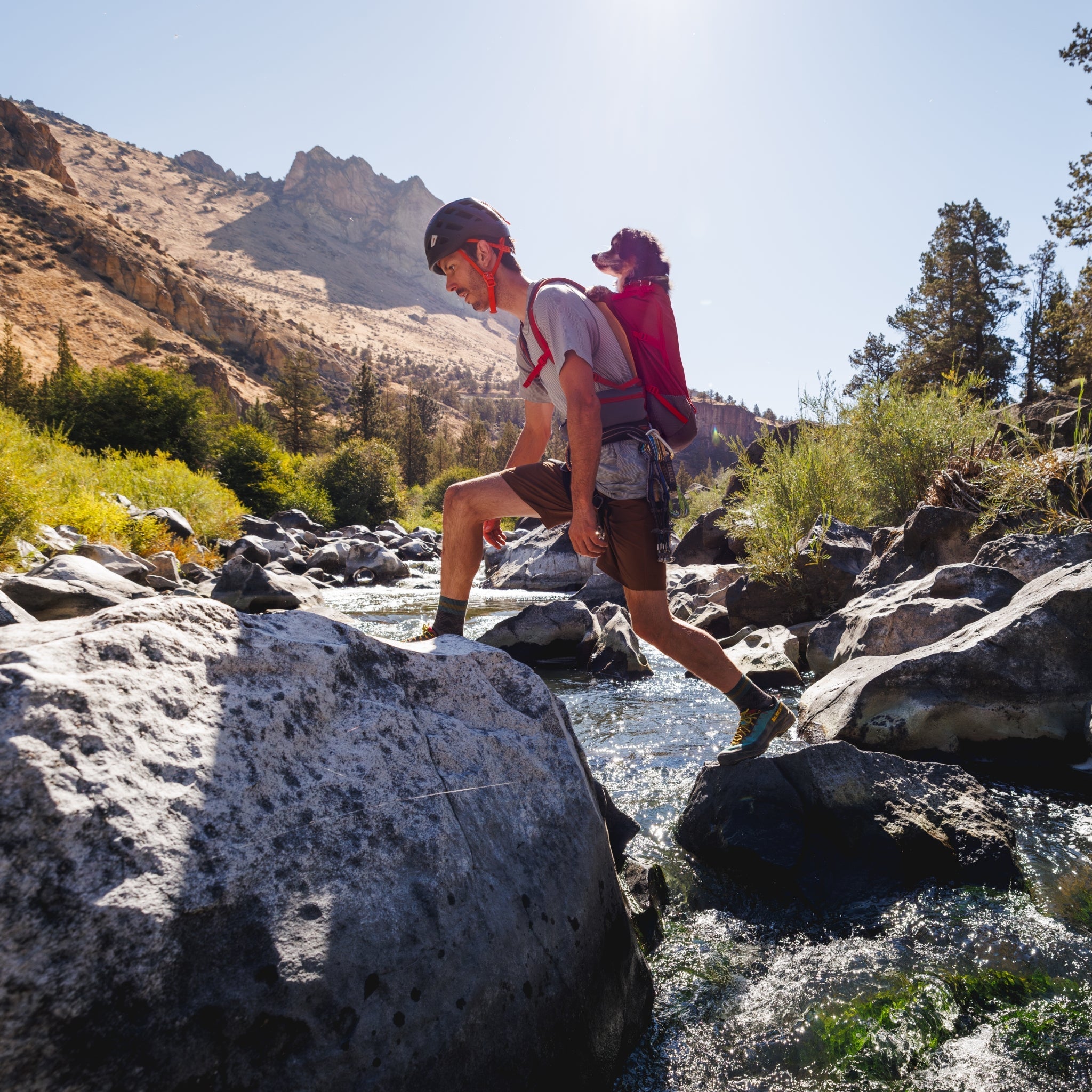 Ruffwear Hitch Hiker Dog Backpack Carrier – Komfortable Hunderucksack - Tragetasche für Abenteuer & sichere Transporte - Woofshack