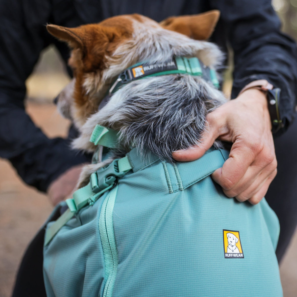 Ruffwear Hitch Hiker Dog Backpack Carrier – Komfortable Hunderucksack - Tragetasche für Abenteuer & sichere Transporte - Woofshack