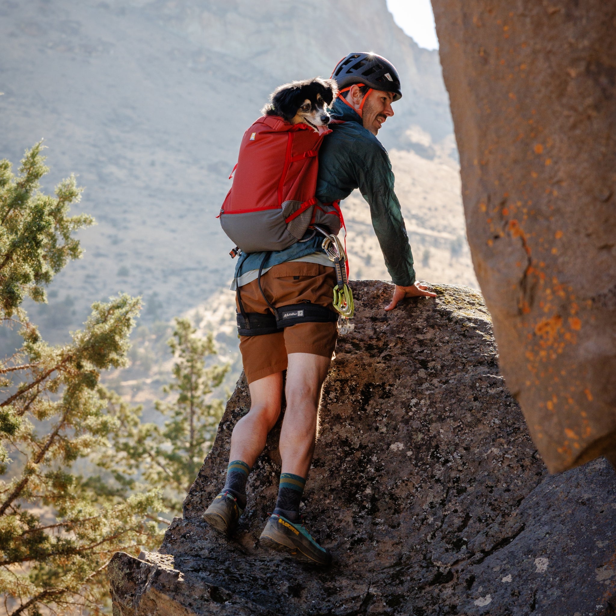 Ruffwear Hitch Hiker Dog Backpack Carrier – Komfortable Hunderucksack - Tragetasche für Abenteuer & sichere Transporte - Woofshack