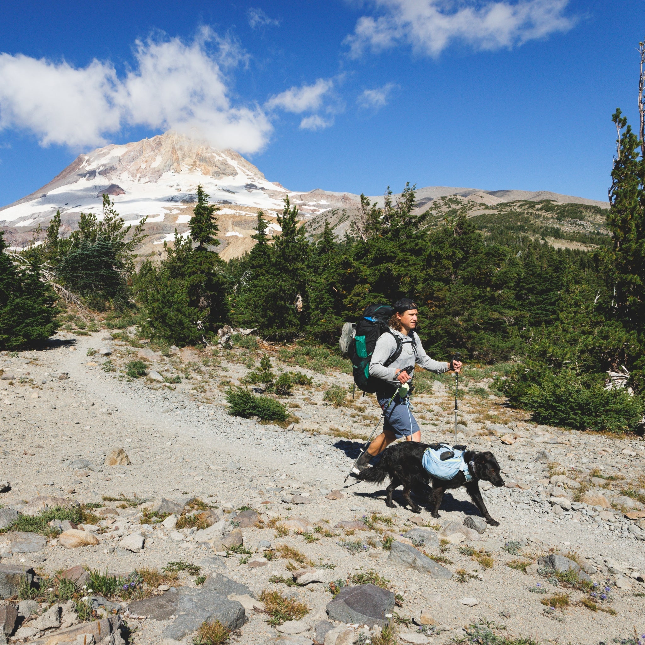 Ruffwear Hitch Hiker Leash – Premium Hüftleine mit verstellbarer Seilleine für freihändiges Wandern mit aktiven Hunden - Woofshack