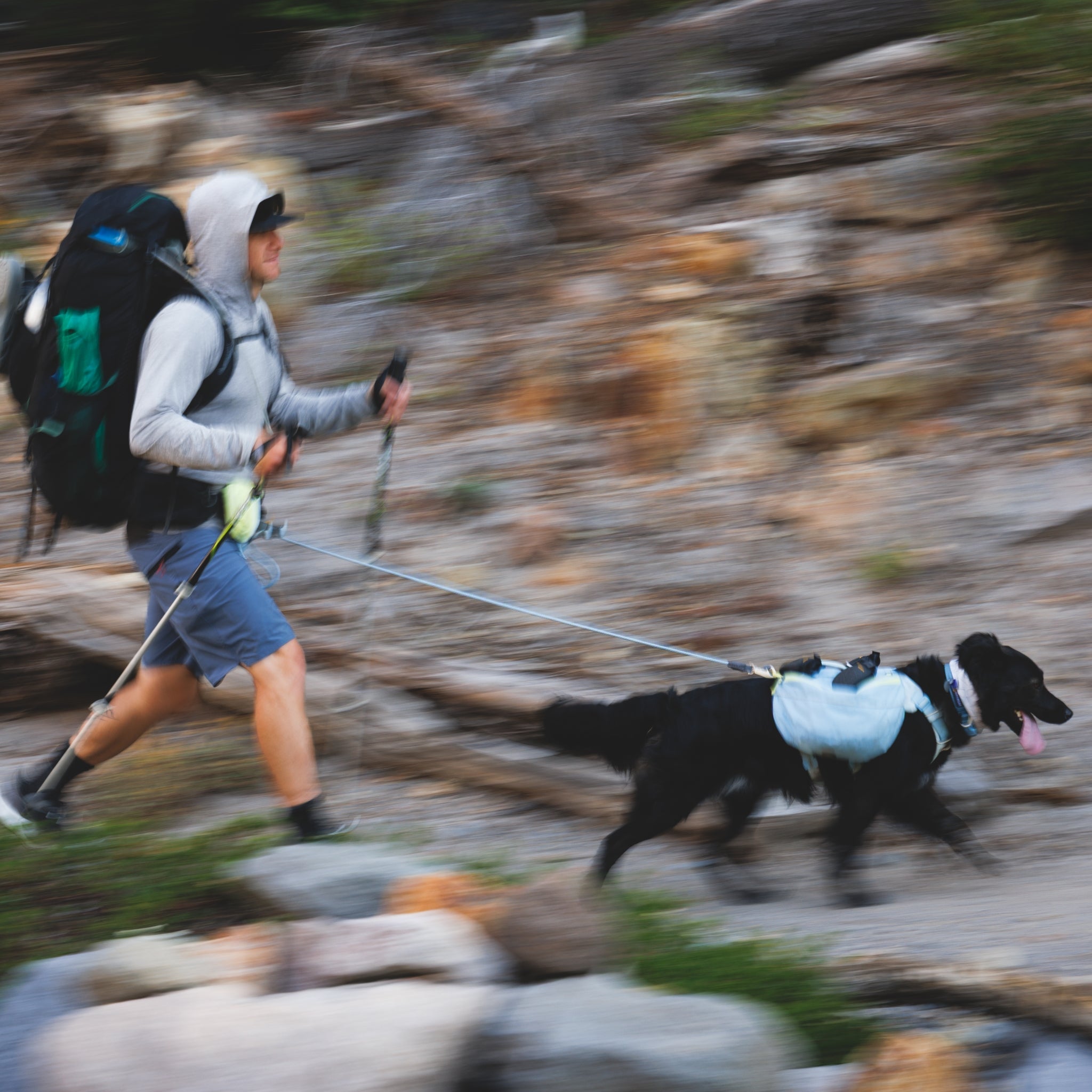 Ruffwear Hitch Hiker Leash – Premium Hüftleine mit verstellbarer Seilleine für freihändiges Wandern mit aktiven Hunden - Woofshack