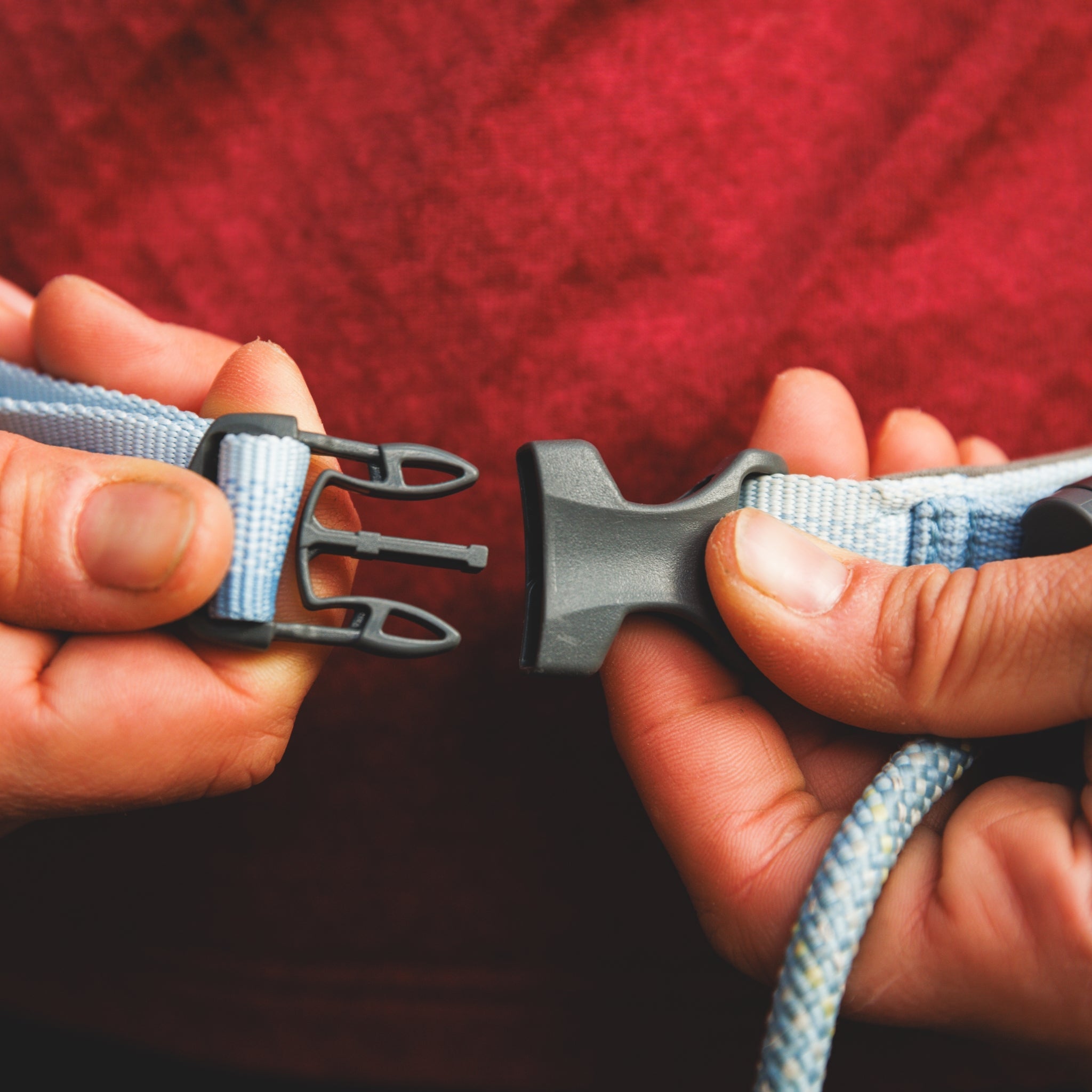 Ruffwear Hitch Hiker Leash – Premium Hüftleine mit verstellbarer Seilleine für freihändiges Wandern mit aktiven Hunden - Woofshack