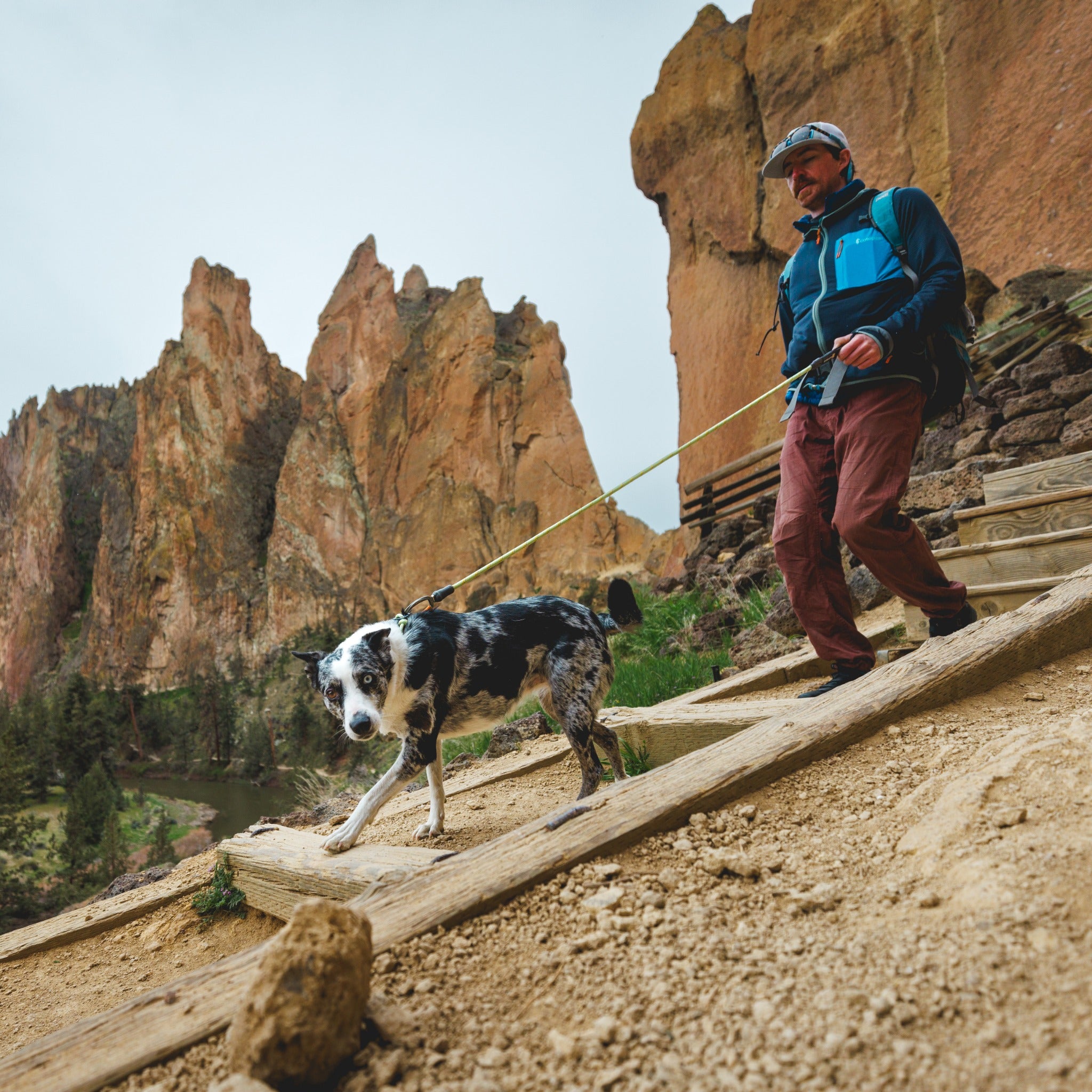 Ruffwear Knot-a-Collar – Reflektierendes Hundehalsband aus Kletterseil