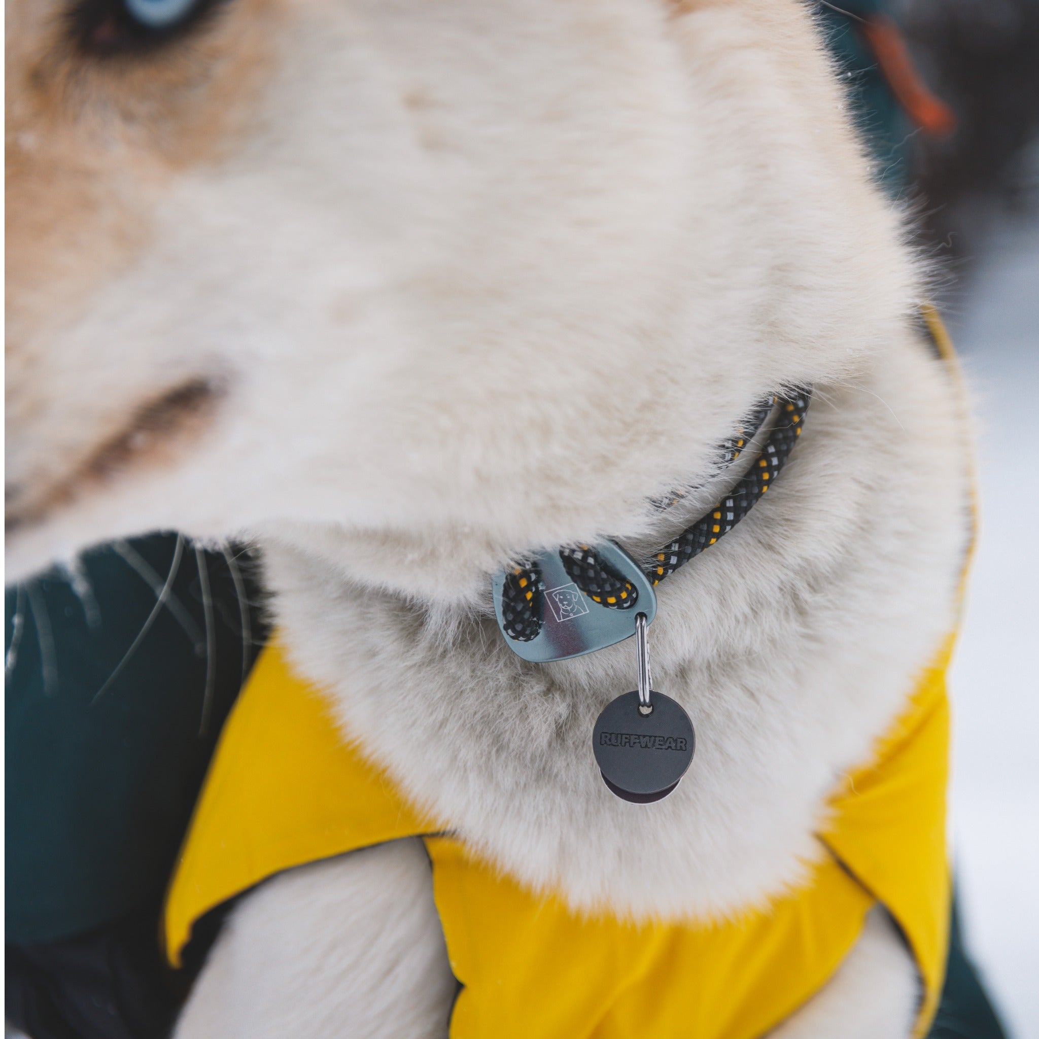 Ruffwear Knot-a-Collar – Reflektierendes Premium-Hundehalsband aus robustem Kletterseil für aktive Hunde