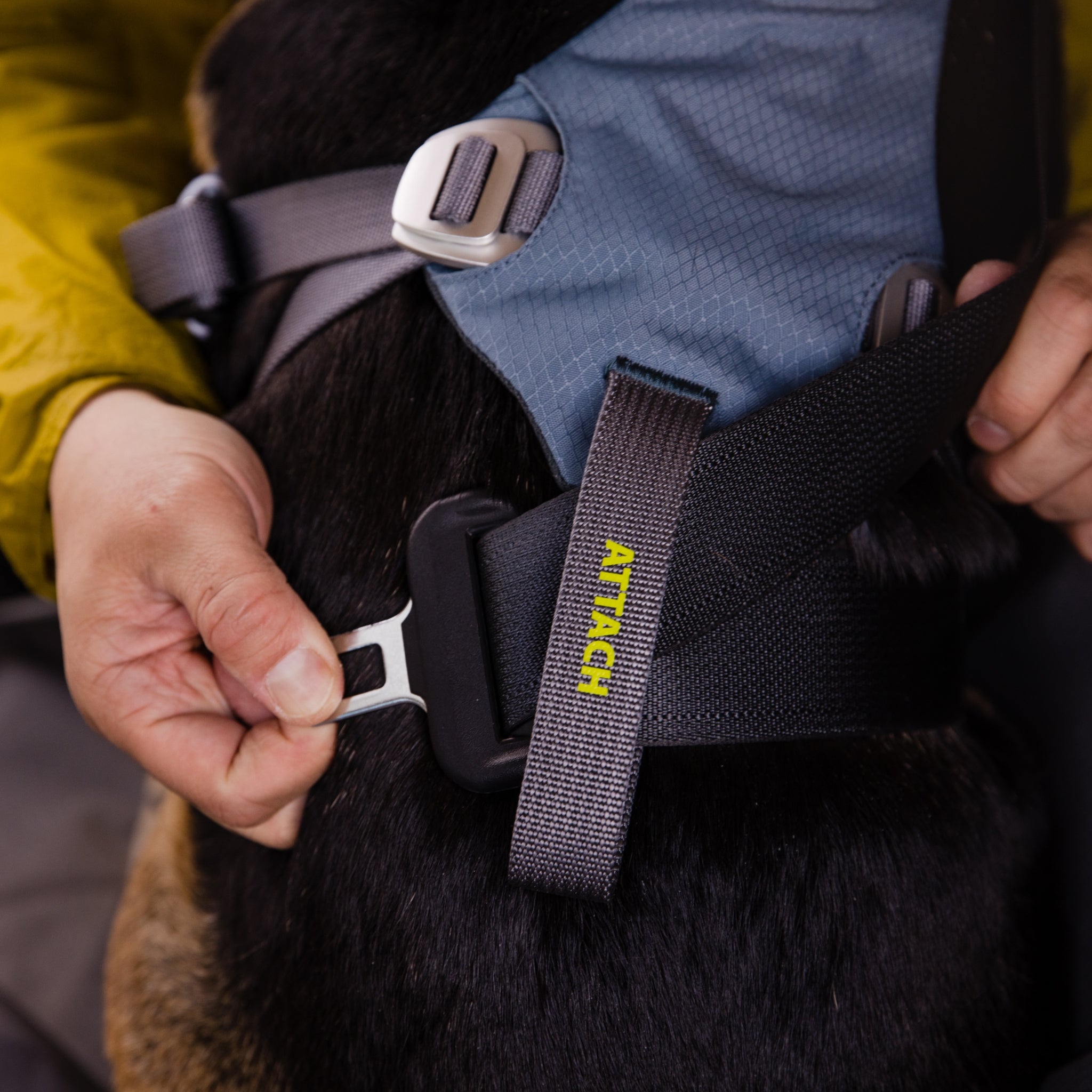 Ruffwear Load Up Harness – Sicherheitsgeschirr für Autofahrten mit Hunden - Woofshack