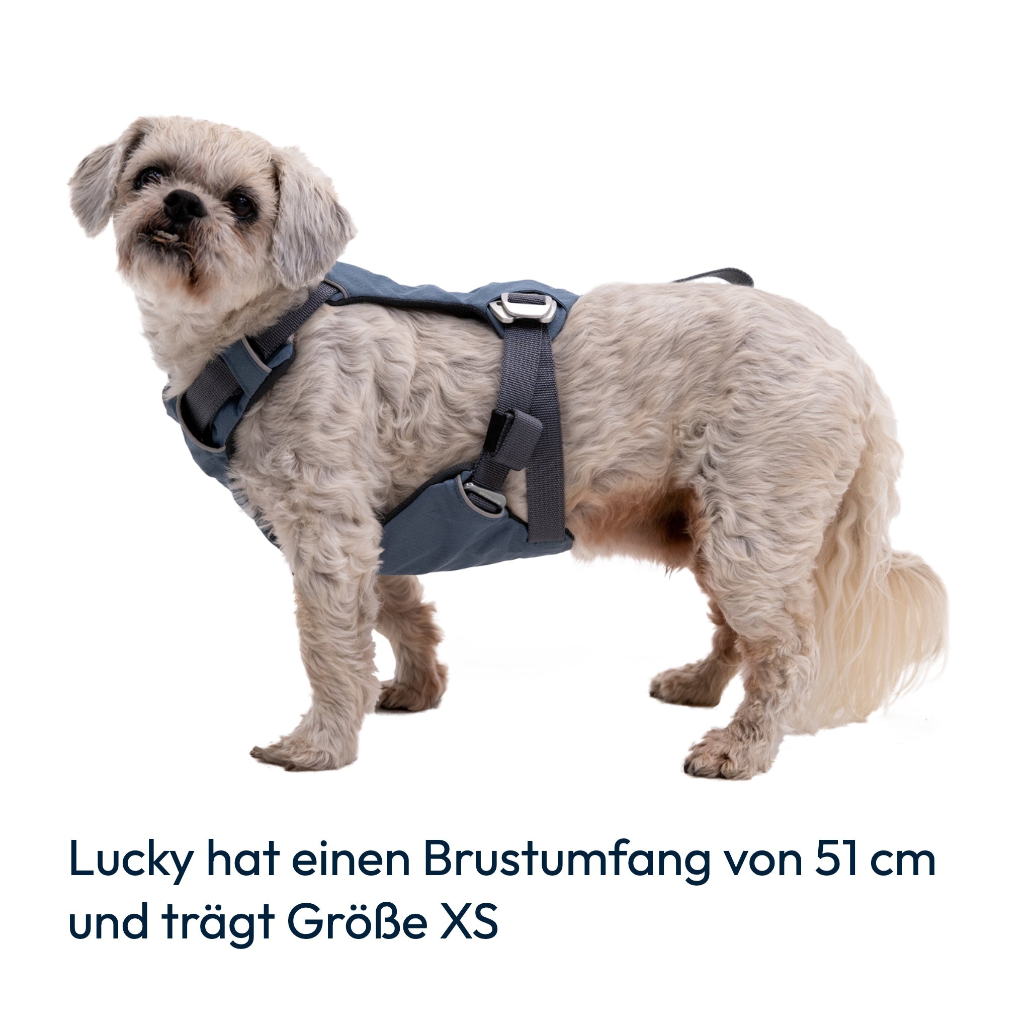 Ruffwear Load Up Harness – Sicherheitsgeschirr für Autofahrten mit Hunden - Woofshack