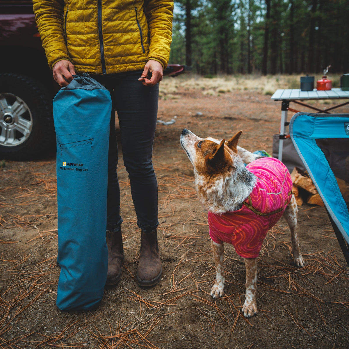 Ruffwear Mt. EverRest Hundebett – Erhöhtes, tragbares Premium - Hundebett für Zuhause, Camping und unterwegs - Woofshack
