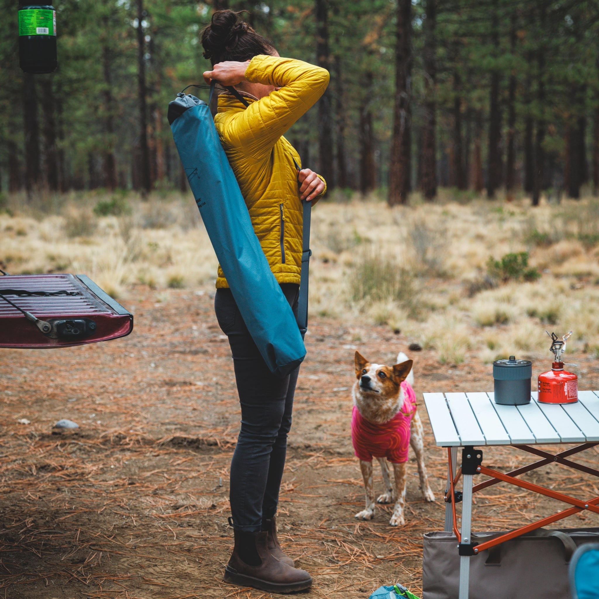 Ruffwear Mt. EverRest Hundebett – Erhöhtes, tragbares Premium - Hundebett für Zuhause, Camping und unterwegs - Woofshack