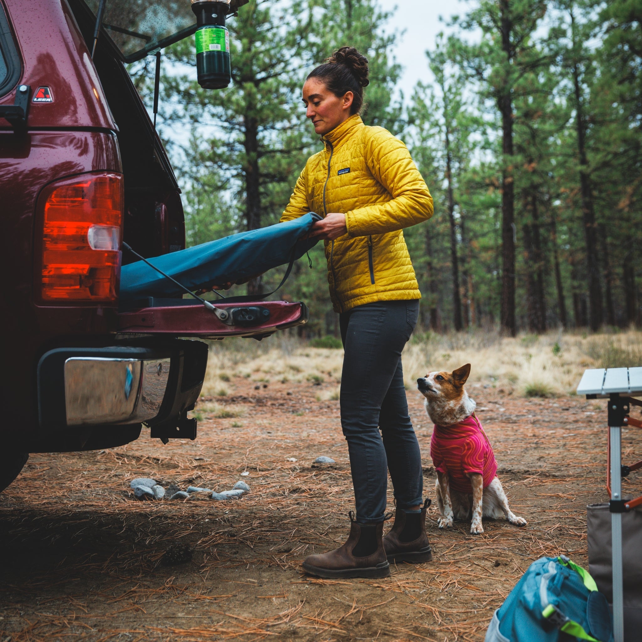 Ruffwear Mt. EverRest Hundebett – Erhöhtes, tragbares Premium - Hundebett für Zuhause, Camping und unterwegs - Woofshack