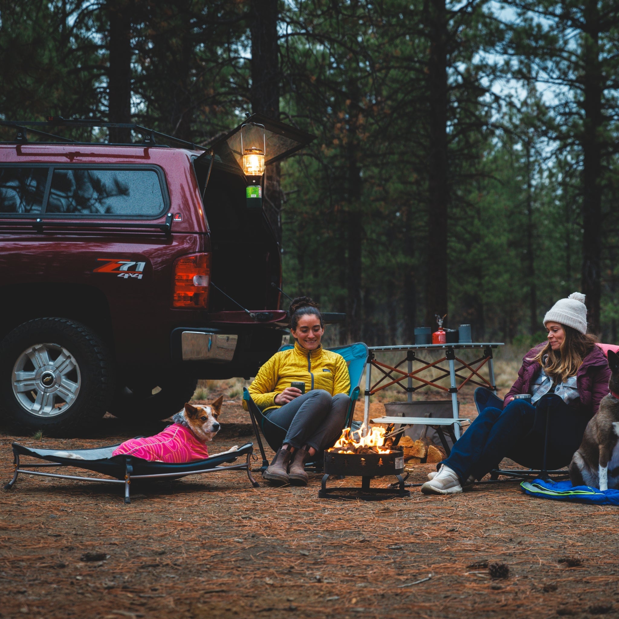 Ruffwear Mt. EverRest Hundebett – Erhöhtes, tragbares Premium - Hundebett für Zuhause, Camping und unterwegs - Woofshack