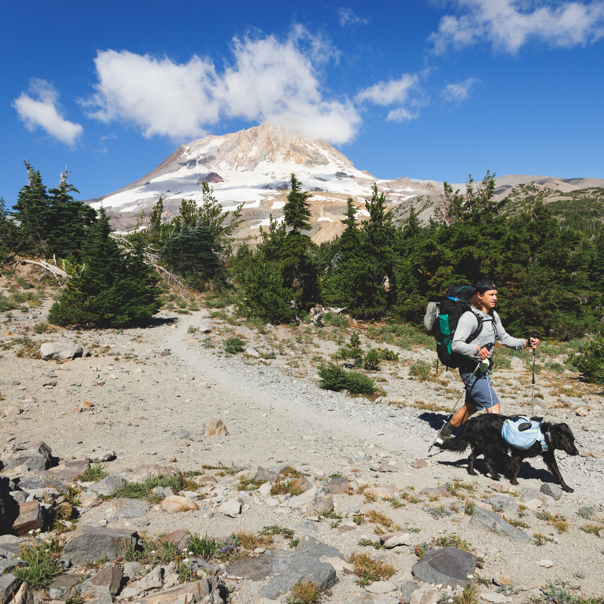 Ruffwear Palisades Pack – Premium Hunderucksack mit abnehmbaren Satteltaschen für Wanderungen & Outdoor-Abenteuer