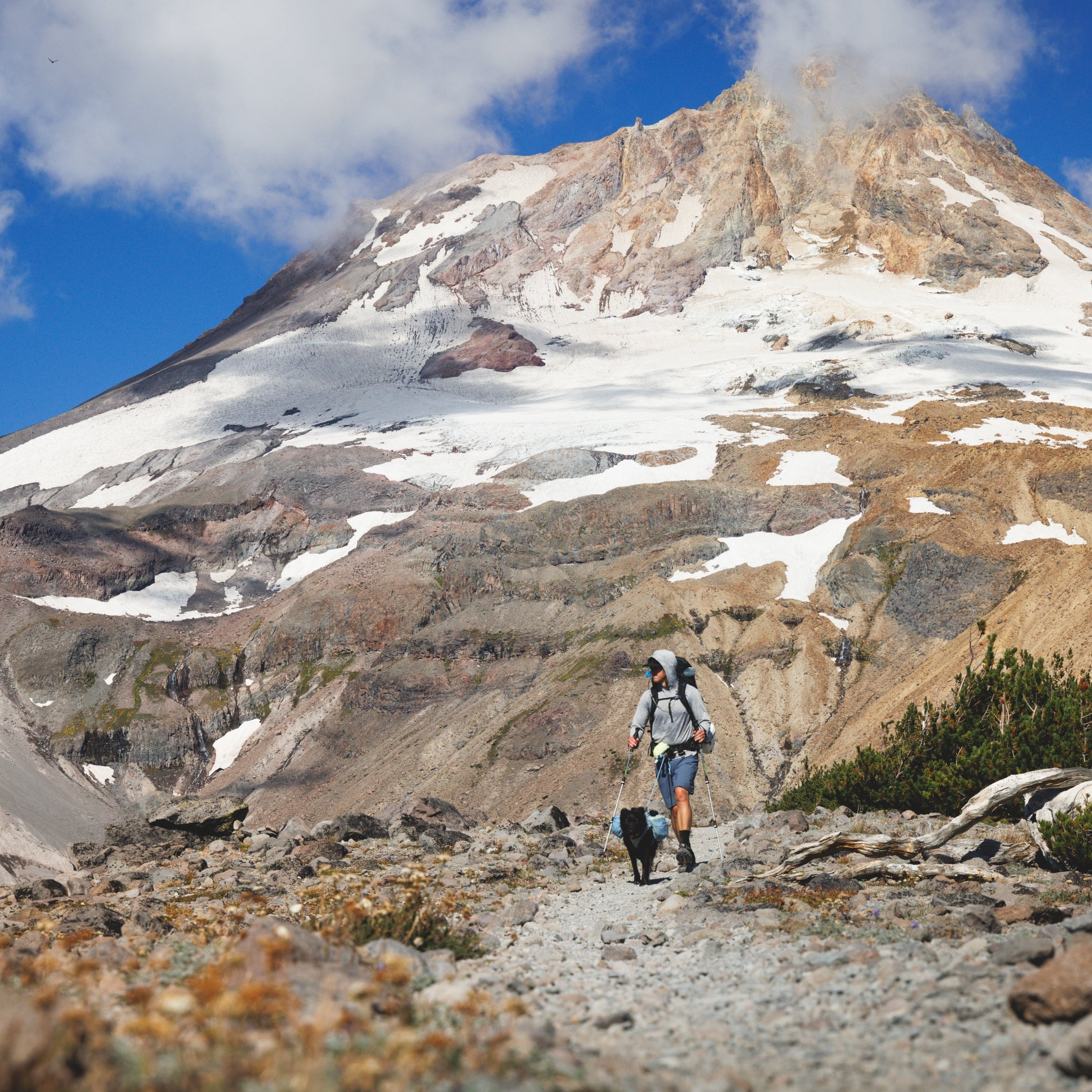 Ruffwear Palisades Pack – Premium Hunderucksack mit abnehmbaren Satteltaschen für Wanderungen & Outdoor-Abenteuer