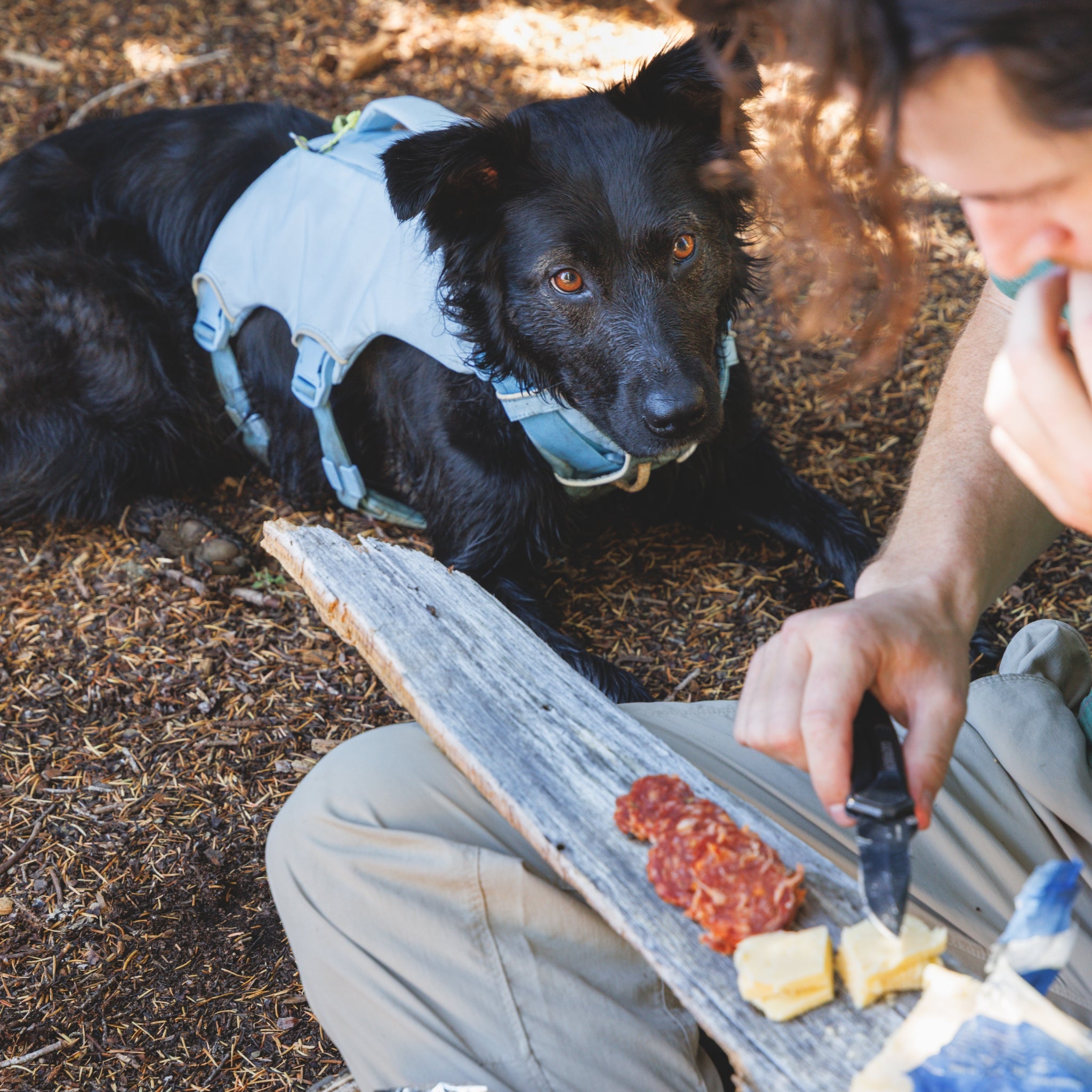 Ruffwear Palisades Pack – Premium Hunderucksack mit abnehmbaren Satteltaschen für Wanderungen & Outdoor-Abenteuer
