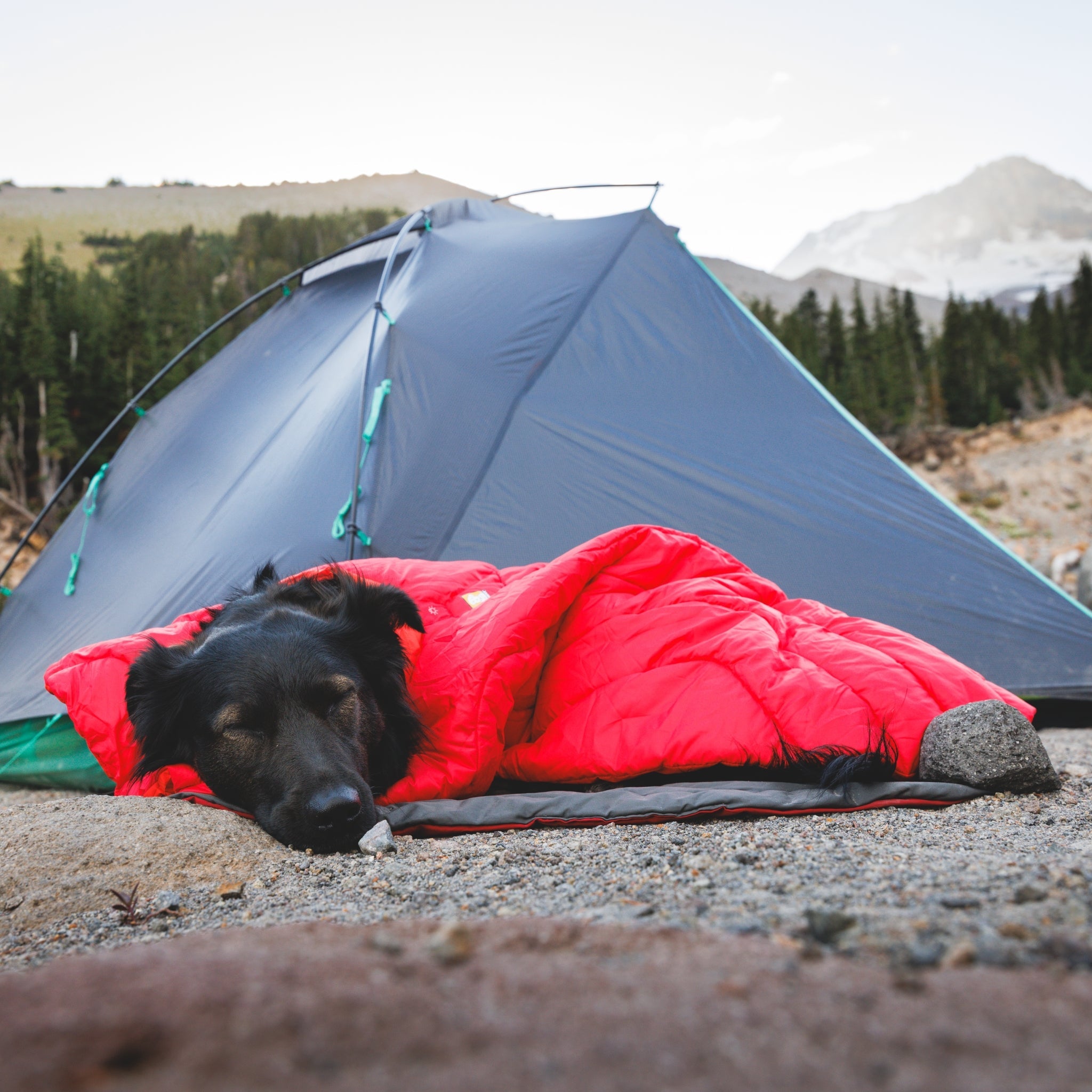 Ruffwear Palisades Sleep Poncho – Isolierter Outdoor - Schlafponcho für kalte Nächte und Camping - Abenteuer mit Hund - Woofshack