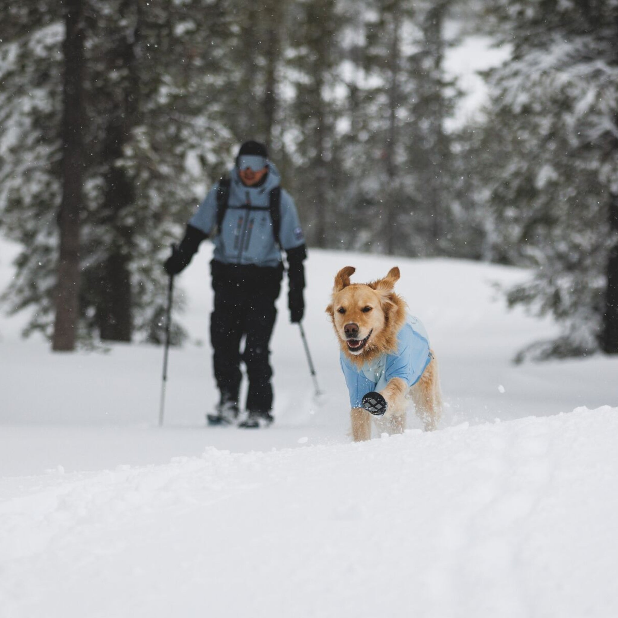 Ruffwear Polar Trex Hundeschuhe – Wasserdichte Winterstiefel mit Grip für Eis, Schnee & Streusalz