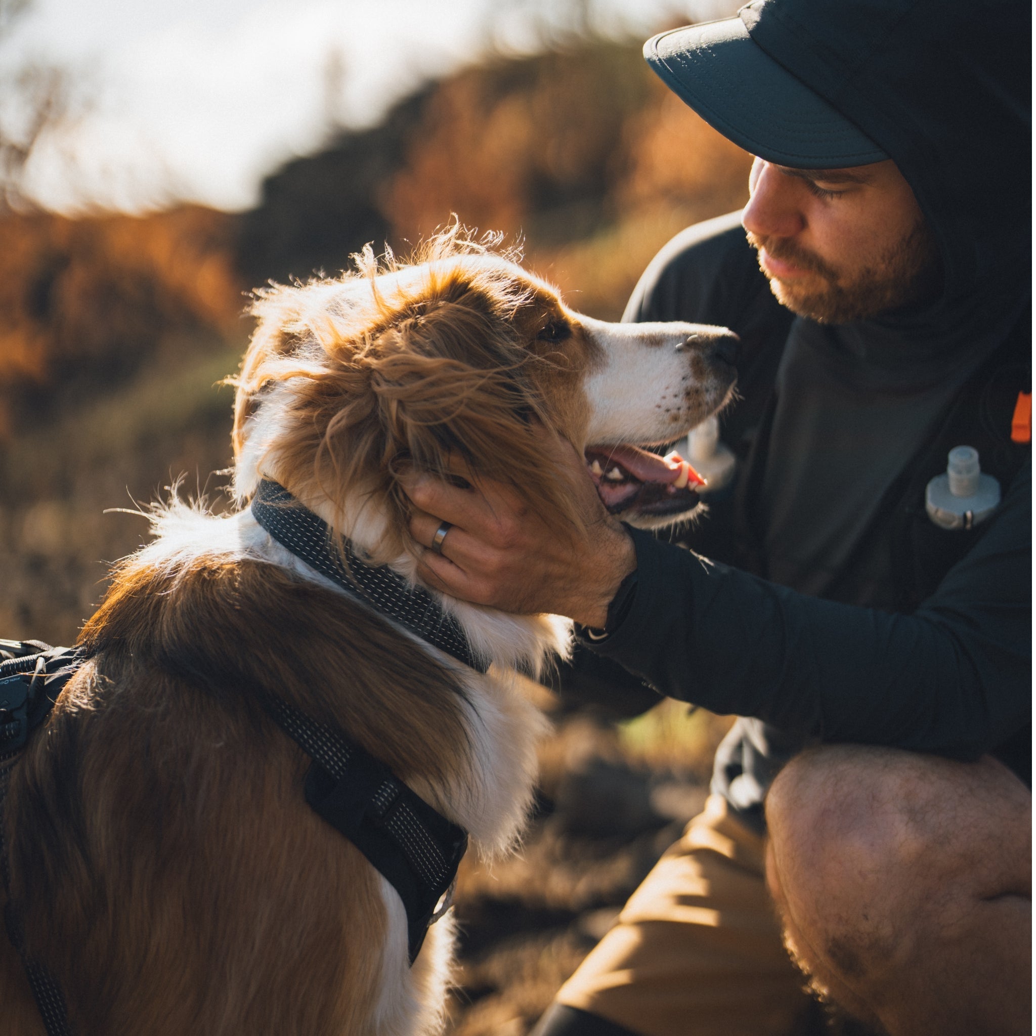Ruffwear Ridgeline Collar – Reflektierendes Hundehalsband für Abenteuer, Sicherheit & Komfort bei Tag und Nacht - Woofshack